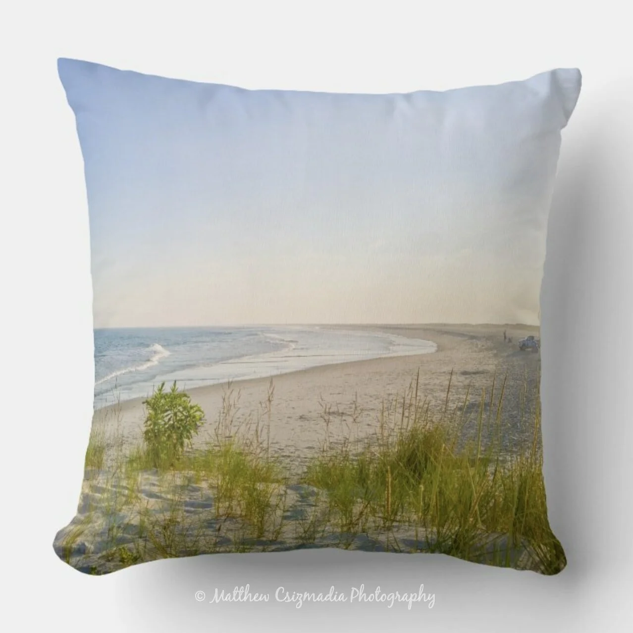 LocalsSummerHolgateThrowPillowWM.jpg