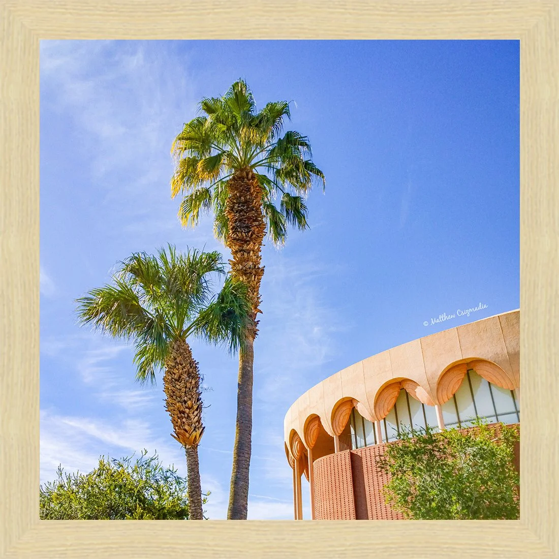 arizona-state-university-gammage-palm-trees-matthew-csizmadia.jpg