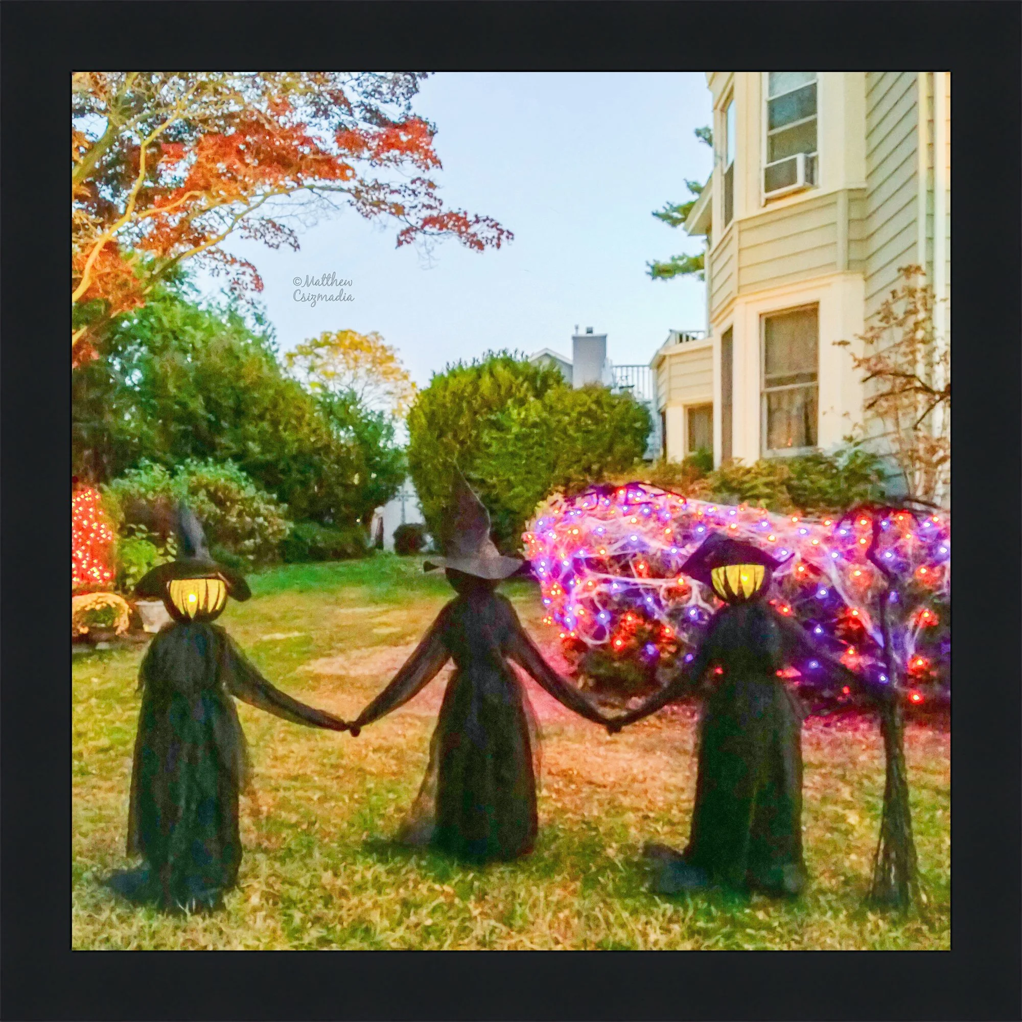 The Craft