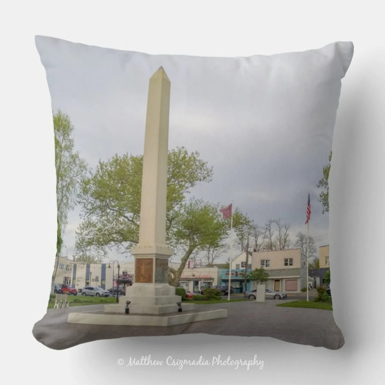 BradleyBeachRileyParkThrowPillowWM.jpg