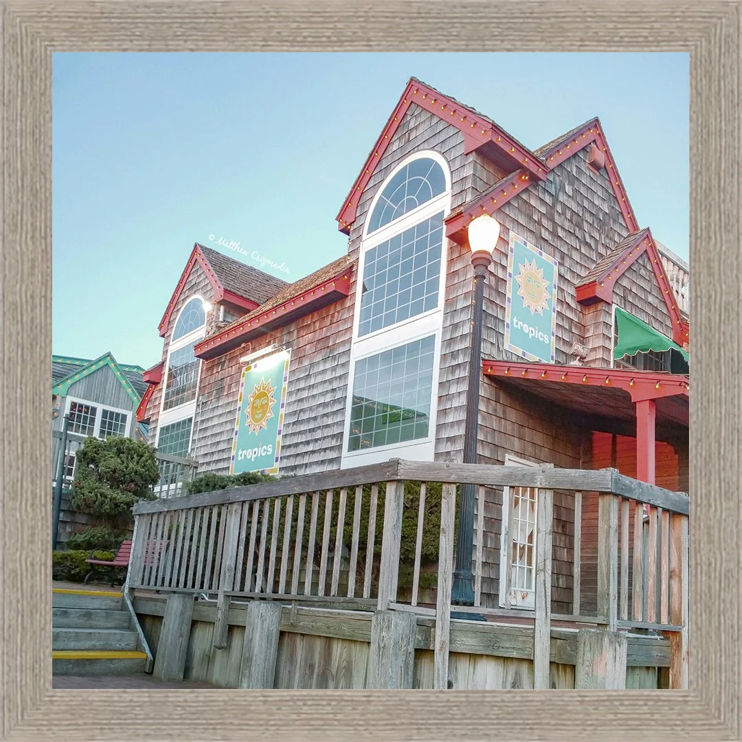 Tropics of Schooner's Wharf