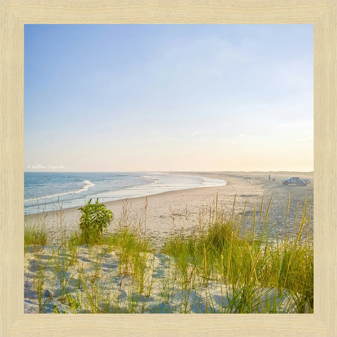 baja-dunes-holgate-lbi-matthew-csizmadia.jpg