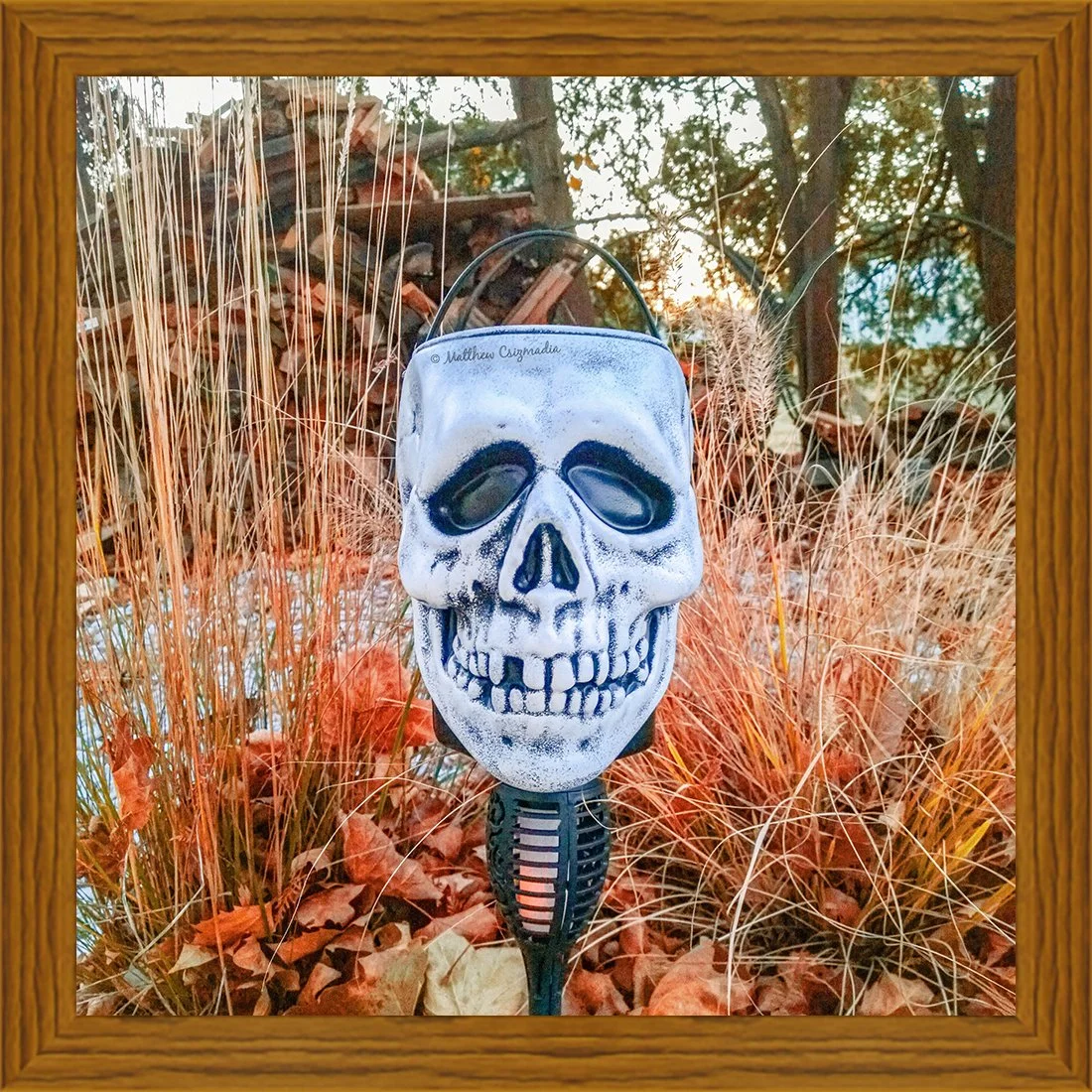 skull-candy-bucket-matthew-csizmadia.jpg