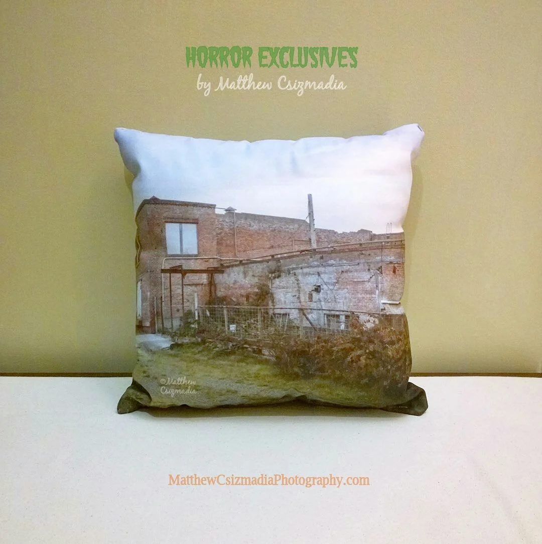loleta-creamery-factory-pillow-matthew-csizmadia.jpg