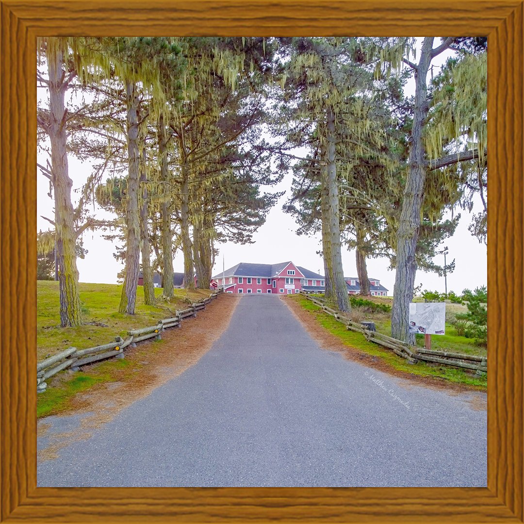 Up the Drive to the Historic Samoa Cookhouse