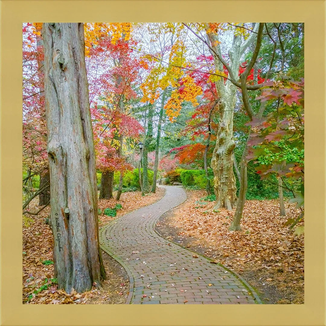 Meandering Through An Autumn Wonderland