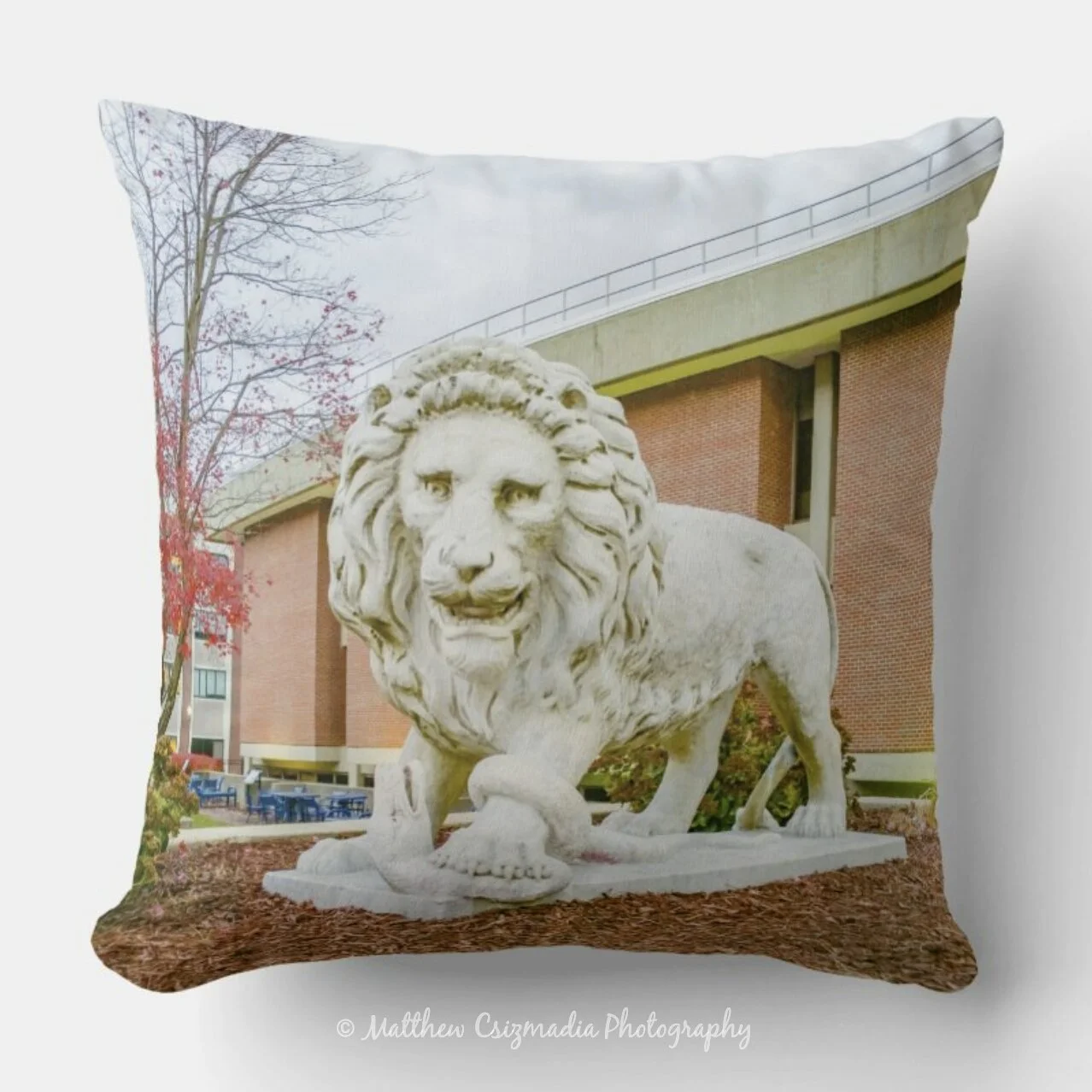 RoscoeTheLionTcnjThrowPillowWM.jpg