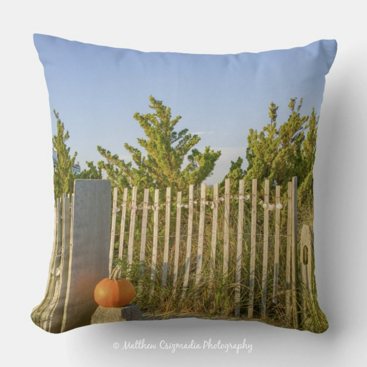 BeachPumpkinThrowPillowWM.jpg