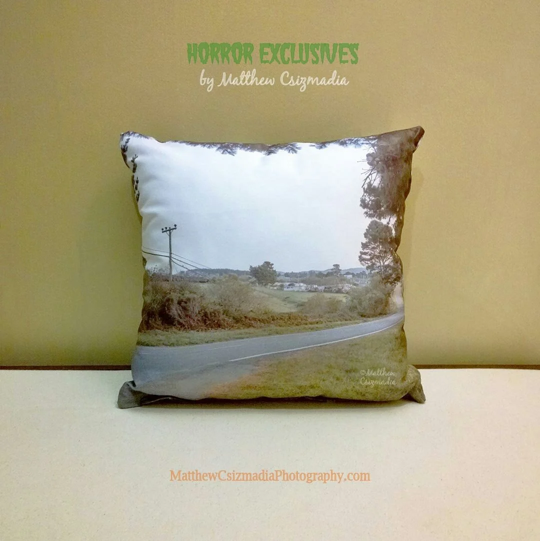 welcome-to-loleta-pillow-matthew-csizmadia.jpg