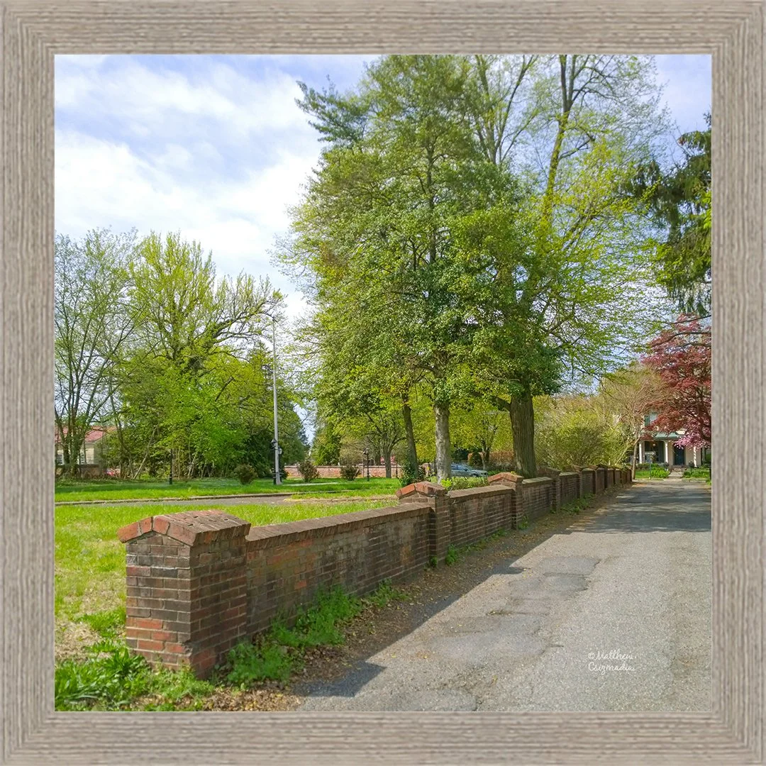 ellis-lane-spring-burlington-city-matthew-csizmadia.jpg