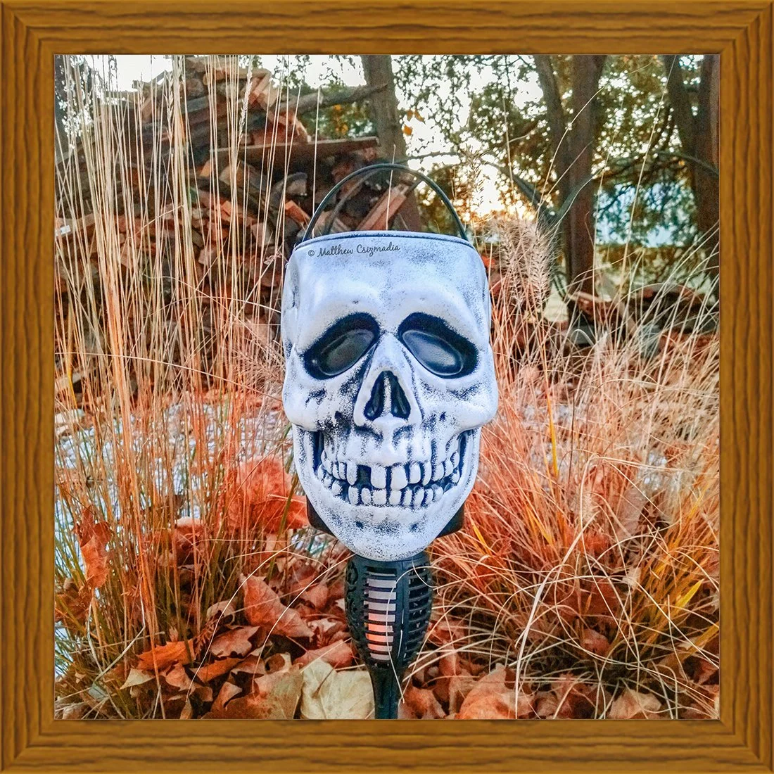 skull-candy-pail-dune-grass-matthew-csizmadia.jpg