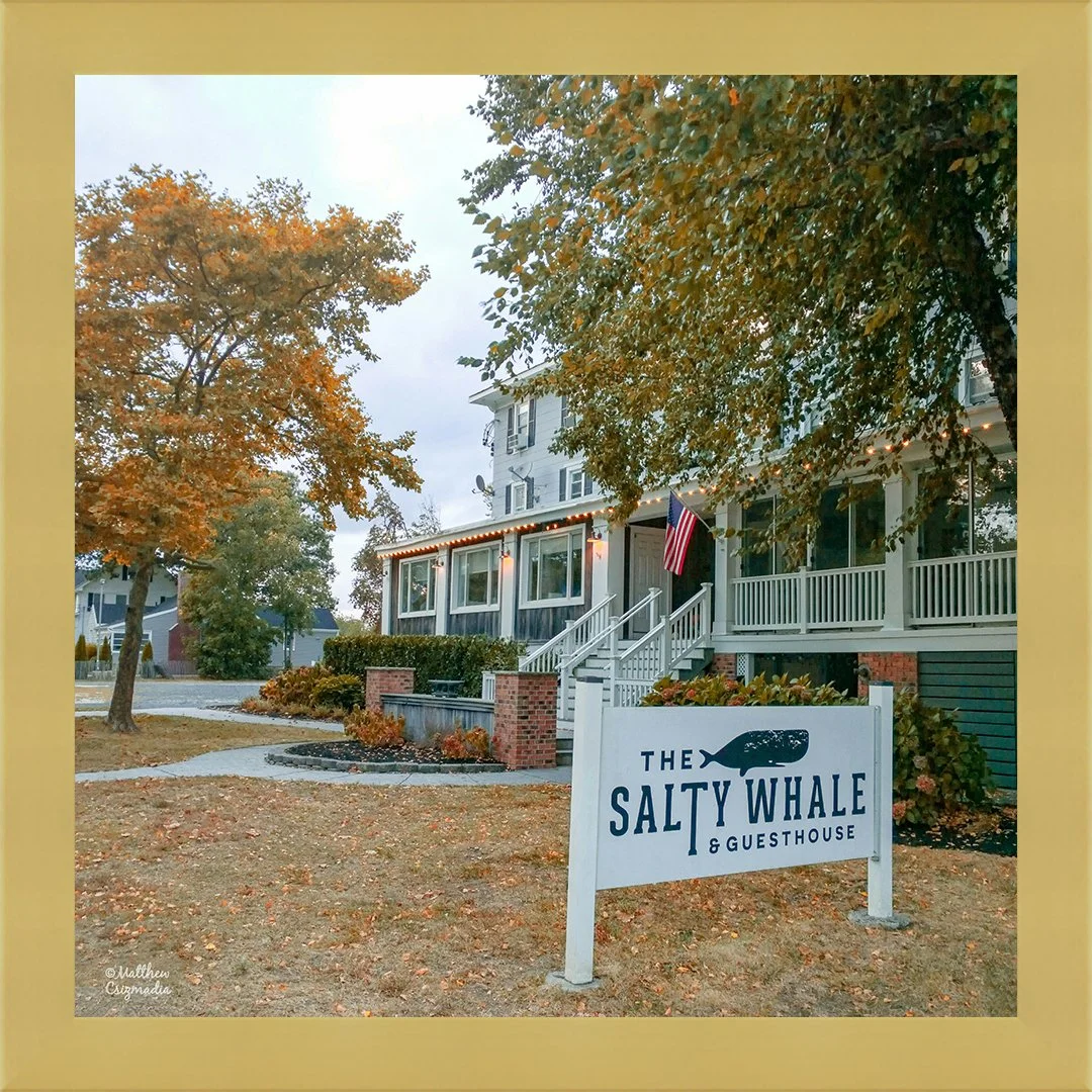 The Salty Whale & Guesthouse