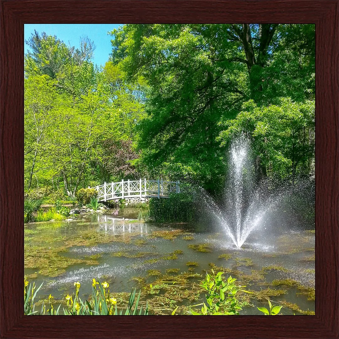 sayen-gardens-monet-bridge-matthew-csizmadia.jpg