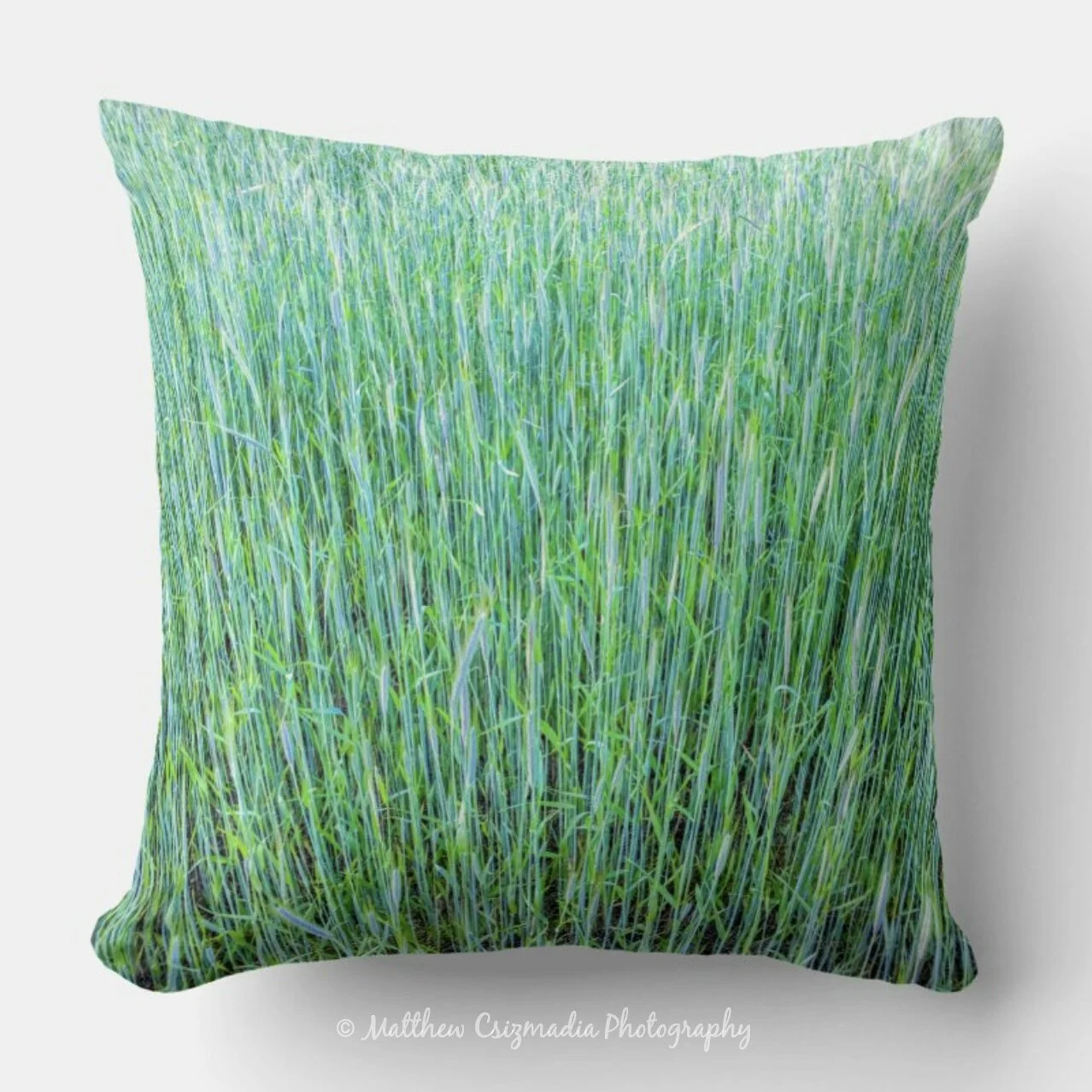 WheatgrassThrowPillowWM.jpg