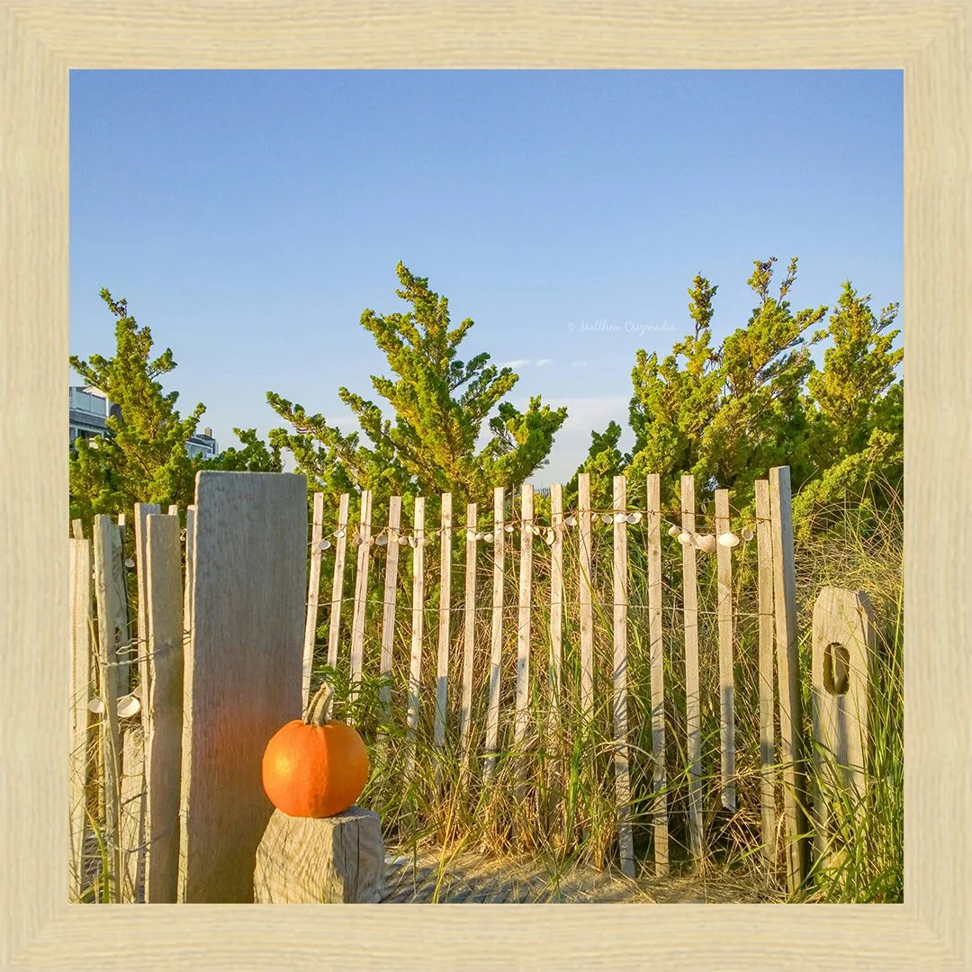 beach-pumpkin-matthew-csizmadia.jpg