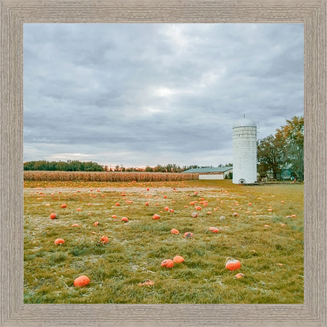 aggies-farm-shop-pumpkin-patch-cranbury-matthew-csizmadia.jpg