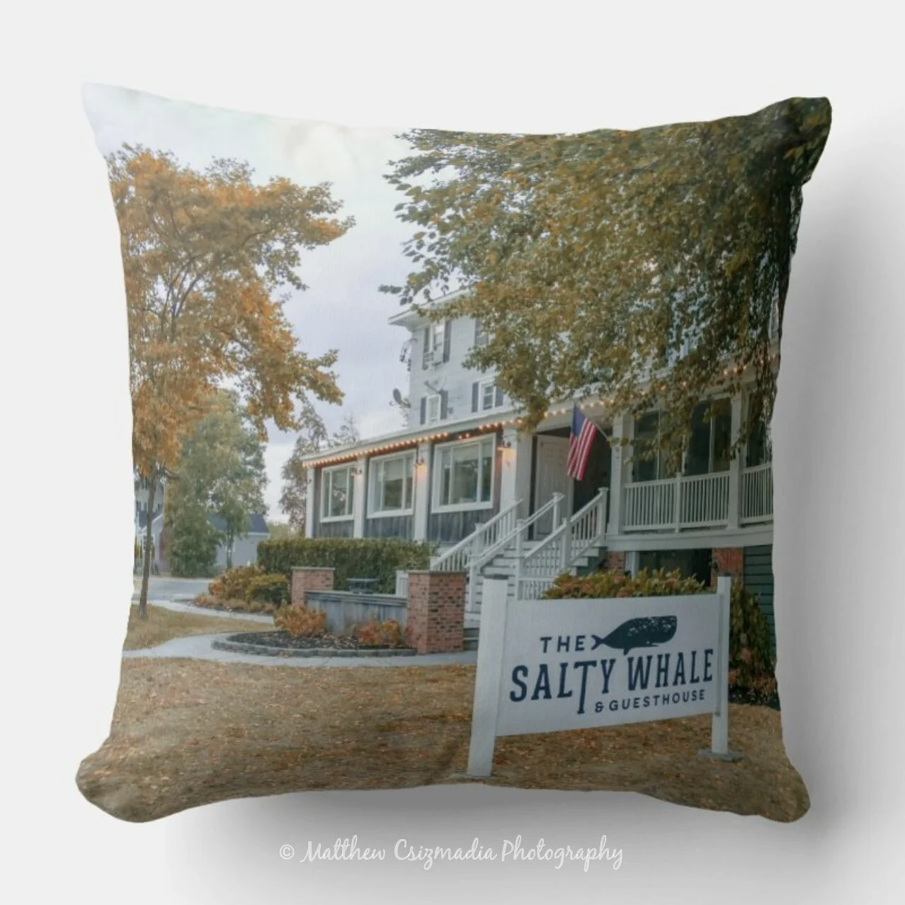 TheSaltyWhaleManasquanThrowPillowWM.jpg
