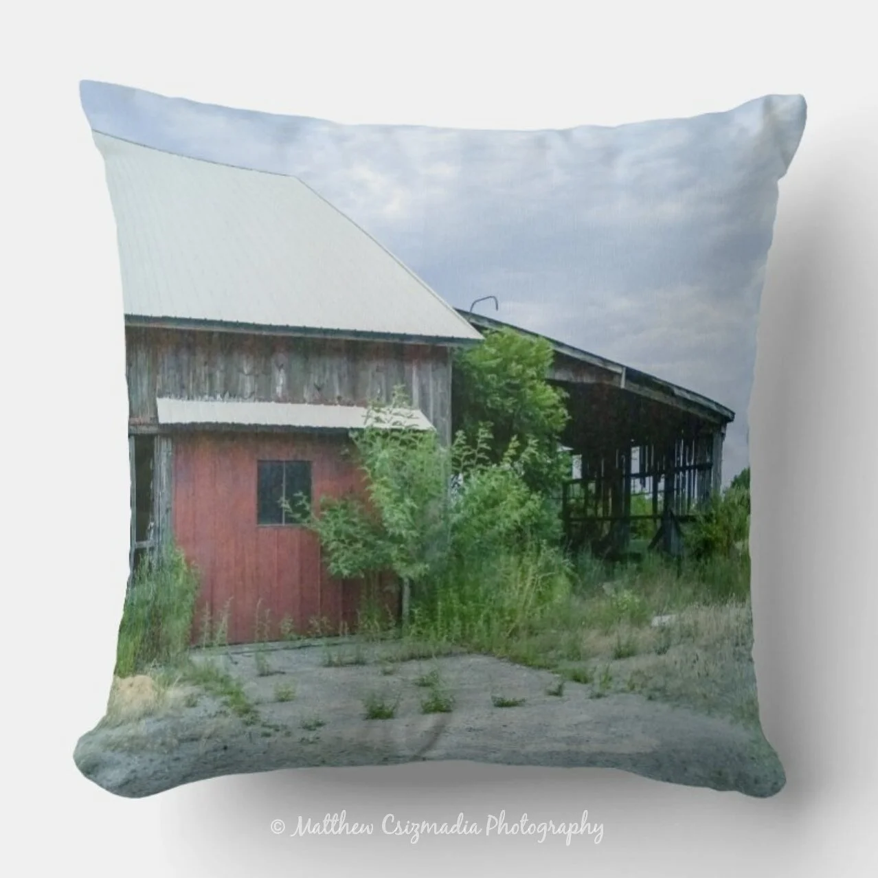 AgriculturalRuinsThrowPillowWM.jpg