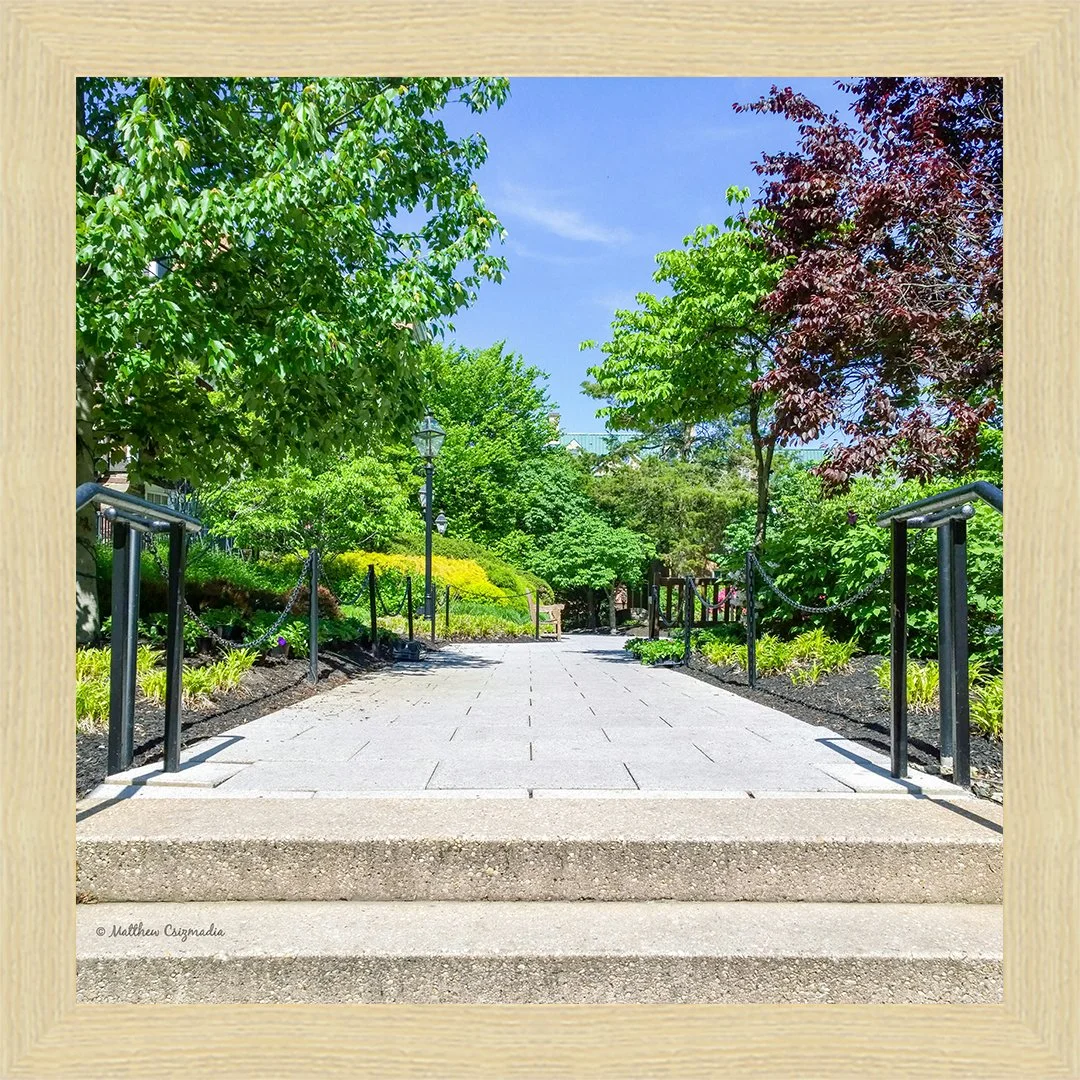 park-steps-beautiful-trees-spring-palmer-square-matthew-csizmadia.jpg