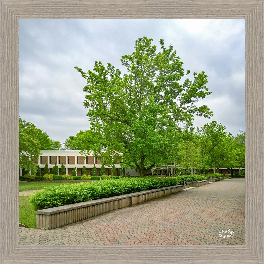 mercer-county-community-college-quad-matthew-csizmadia.jpg