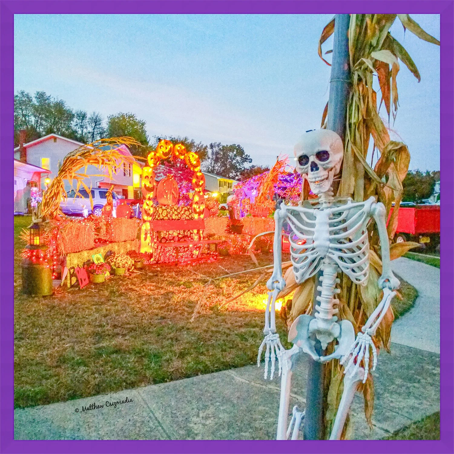 moro-drive-halloween-skeleton-street-sign-matthew-csizmadia.jpg