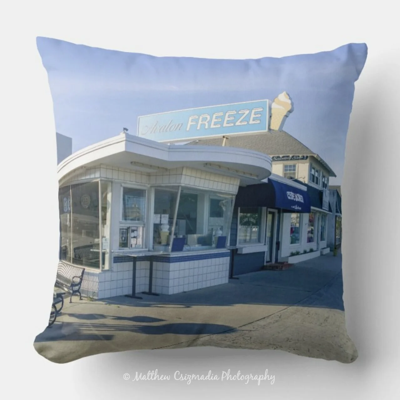 AvalonFreezeThrowPillowWM.jpg
