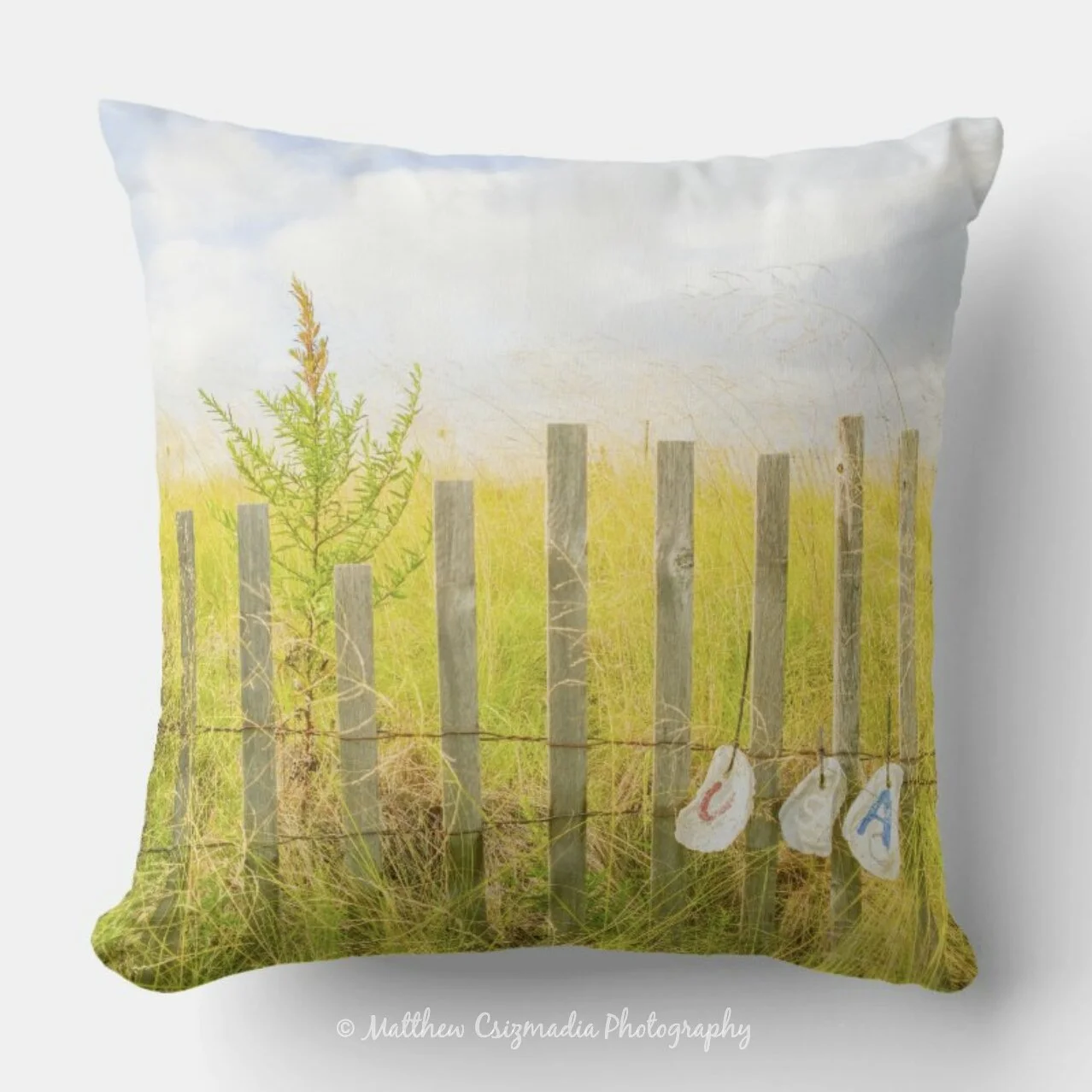 AmericanSummerThrowPillowWM.jpg