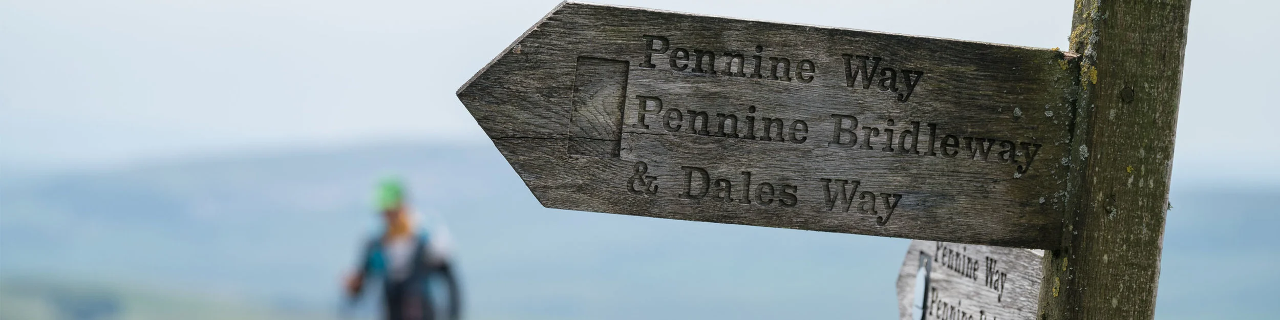Banner_Summer_01.jpg