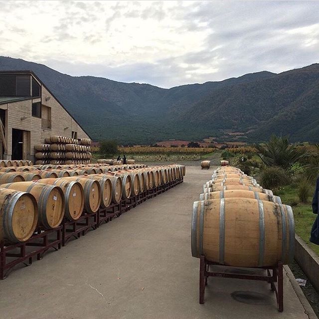 Harvest 2019 #1 is a wrap! One to remember, cherish, and grow from. Muchas gracias to @noeliaorganicwine and Emiliana Vineyards for showing me the ropes on Chilean winemaking 🍇❤️ #biodynamicwine #emilianawines #winesofchile @emilianaorganic