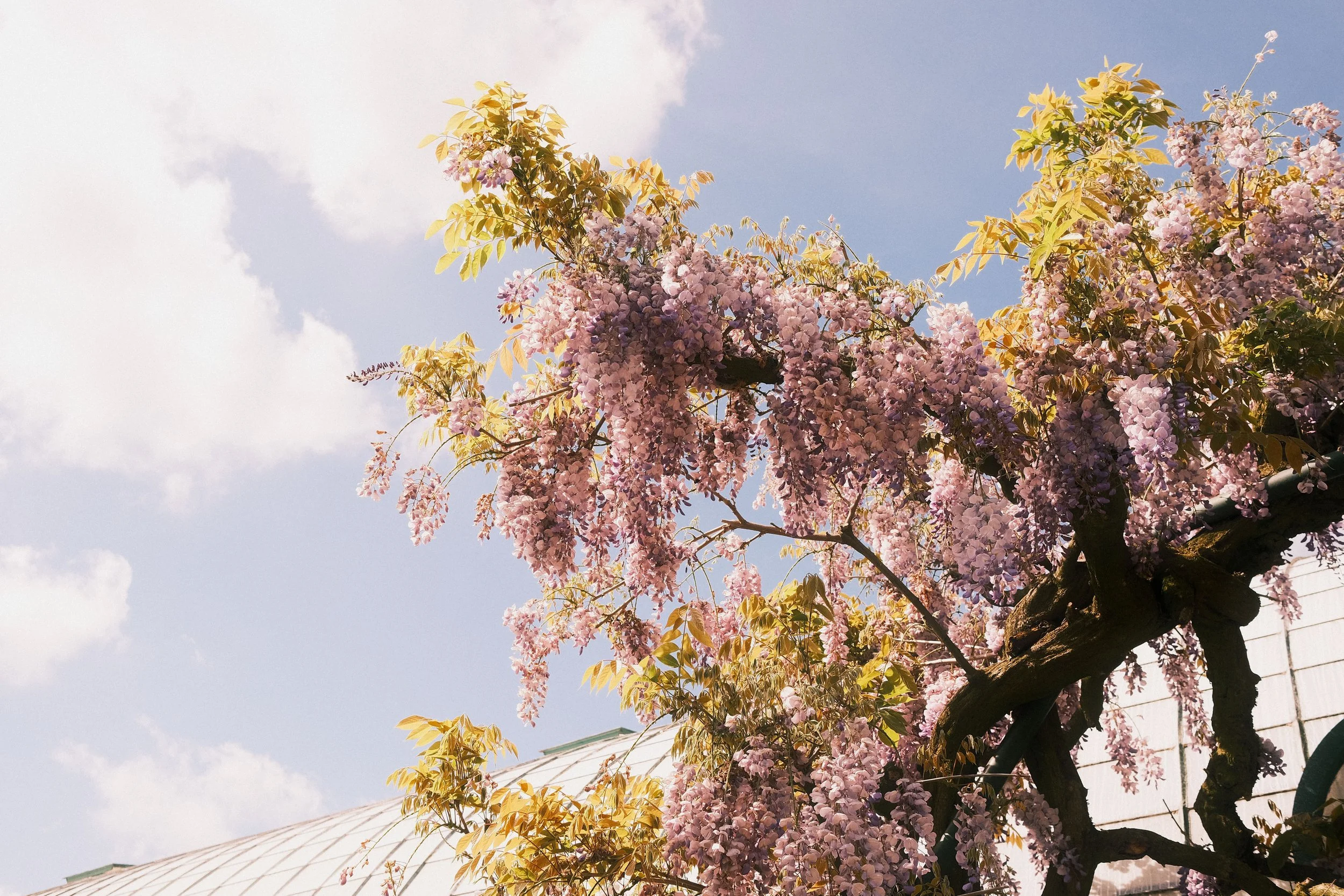 Website-pw-color-130.jpg