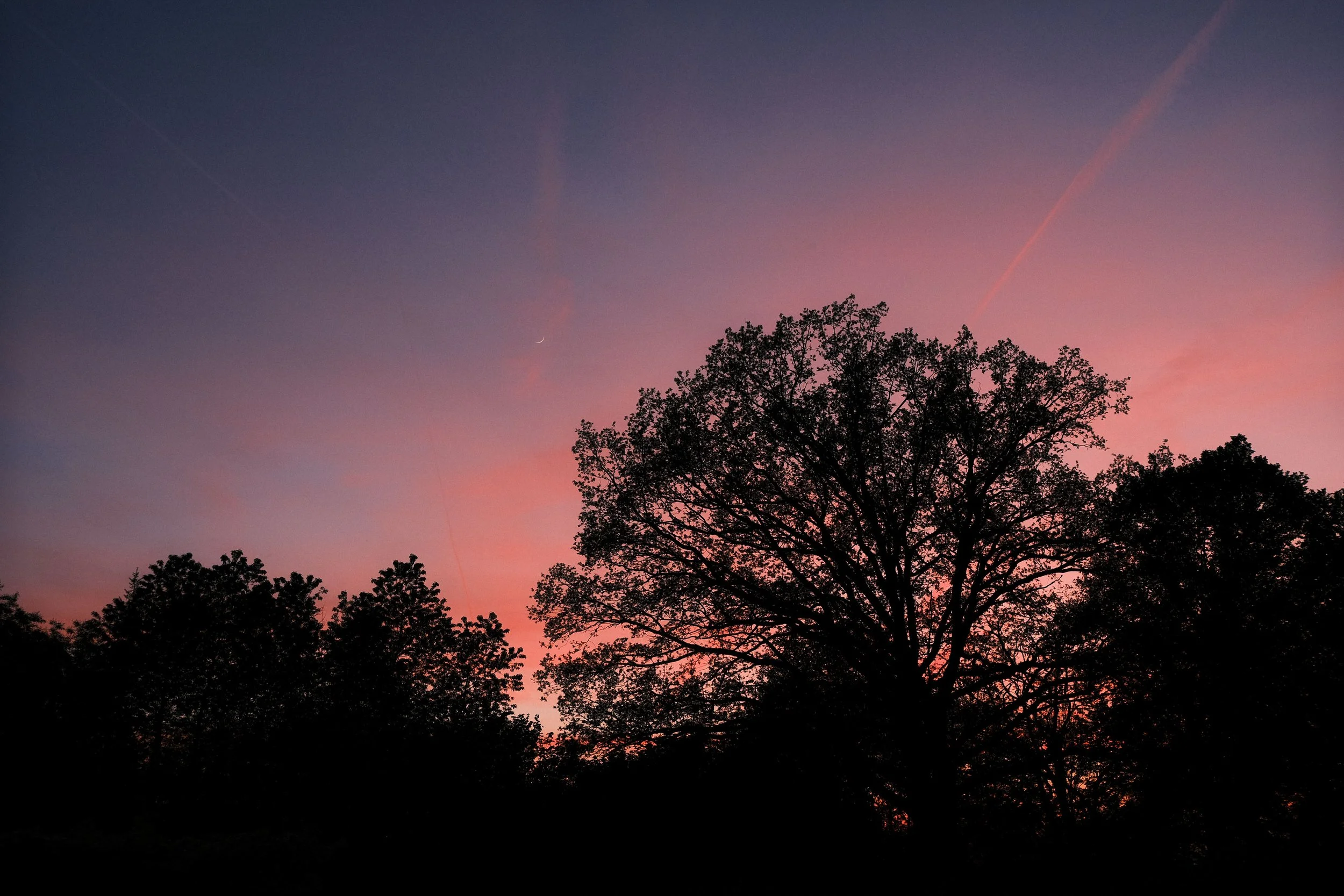 Website-pw-color-151.jpg