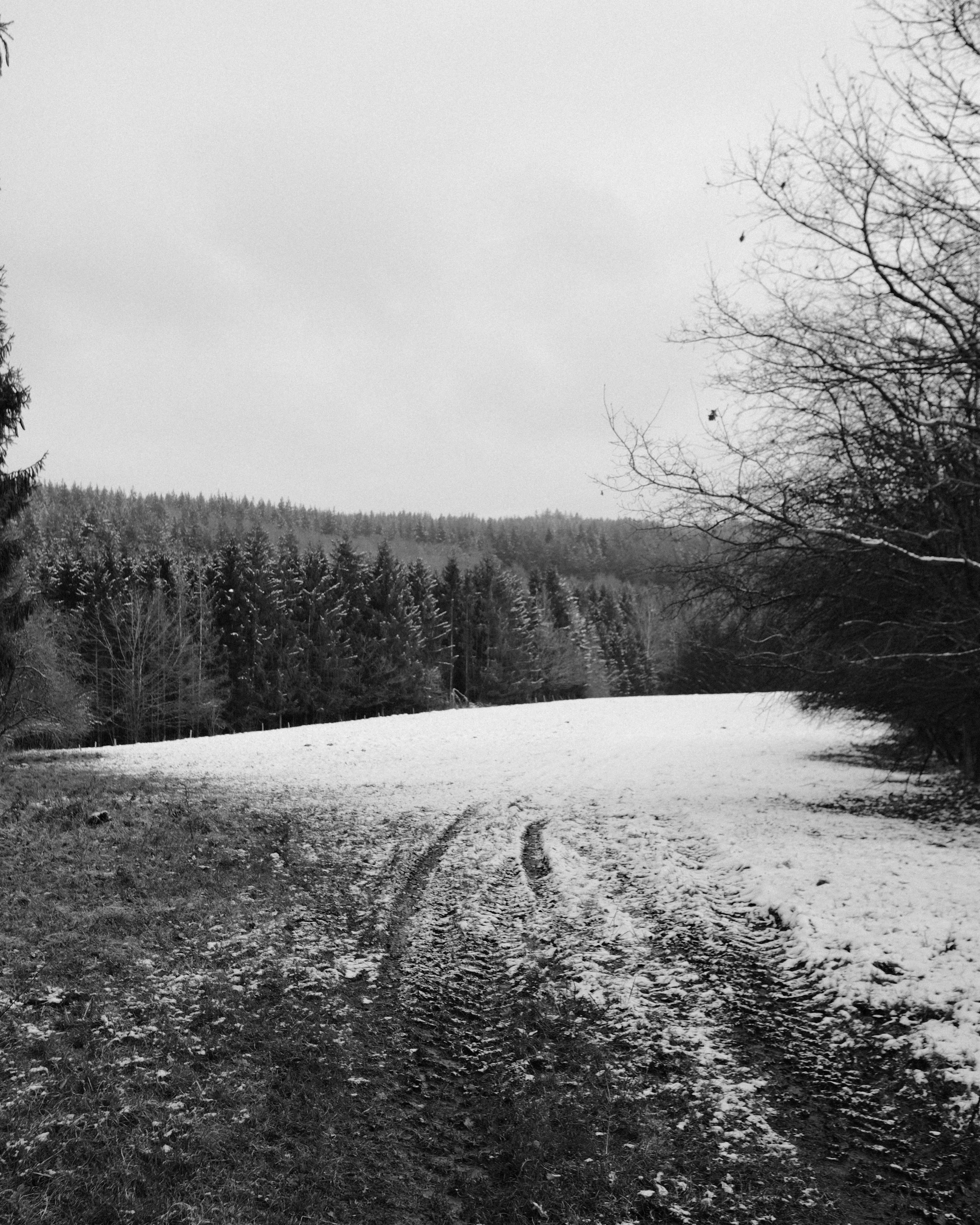 DSCF0437(online).jpg