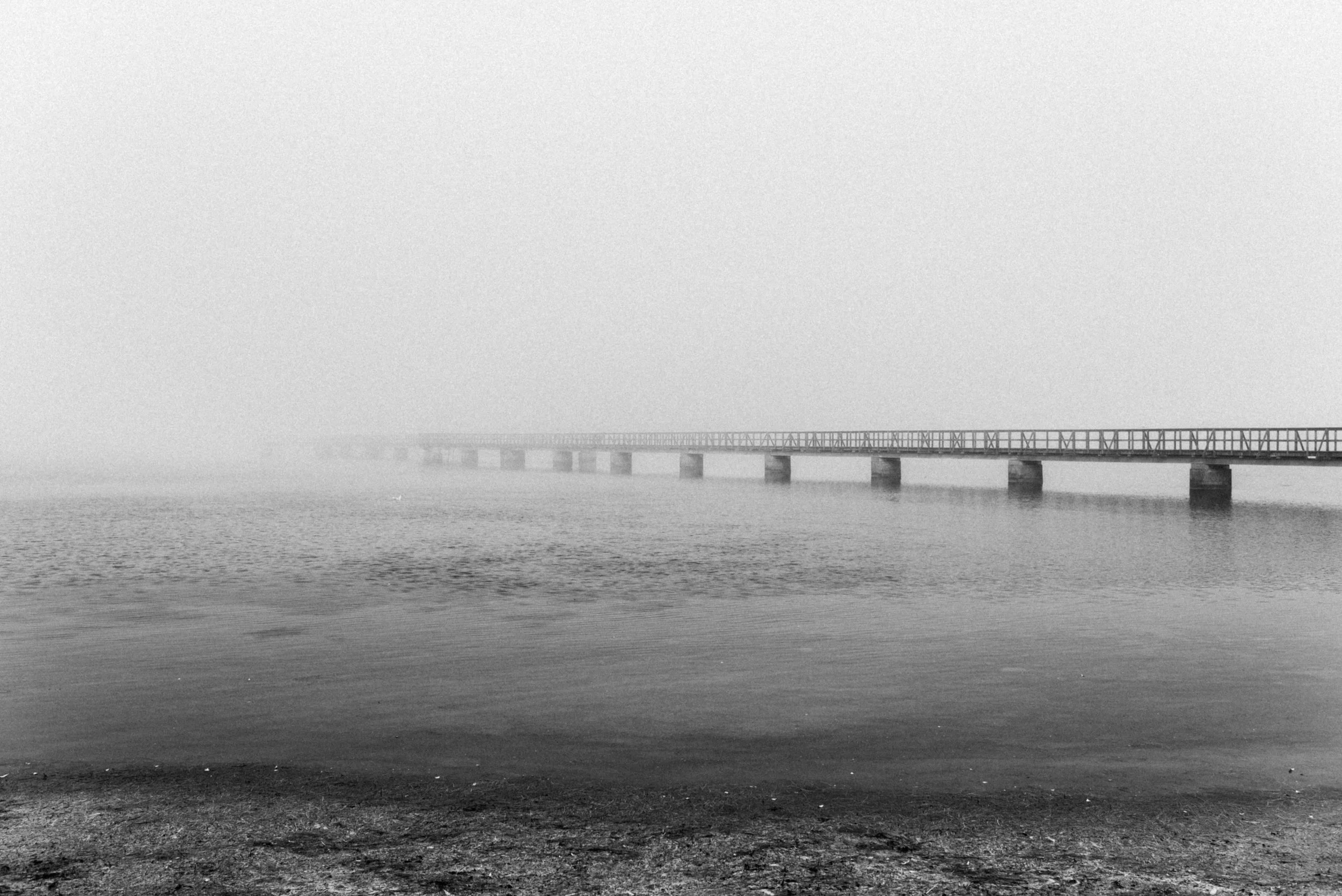 _DSC3816bw(online).jpg
