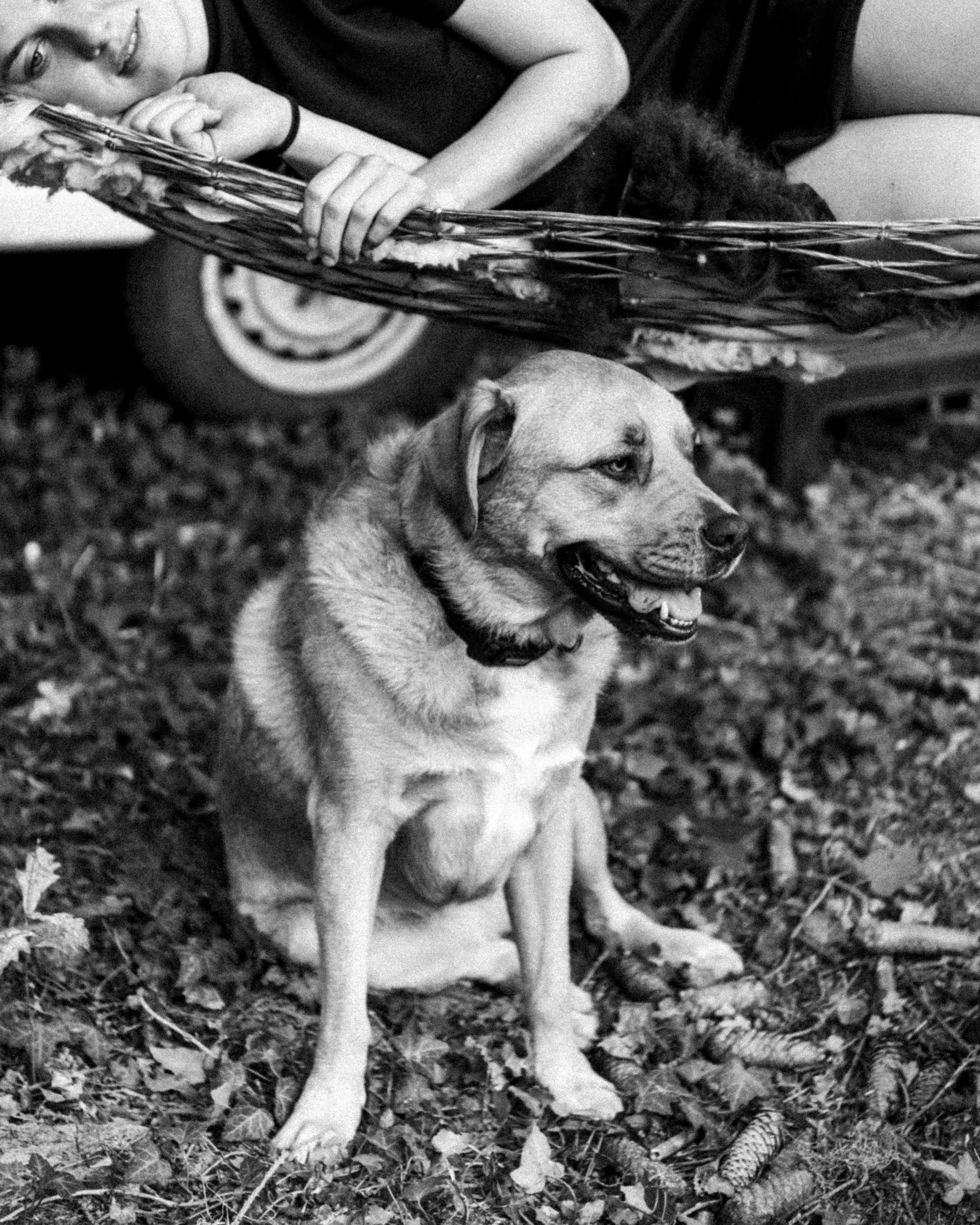 _DSC4260bw%28online%29.jpg