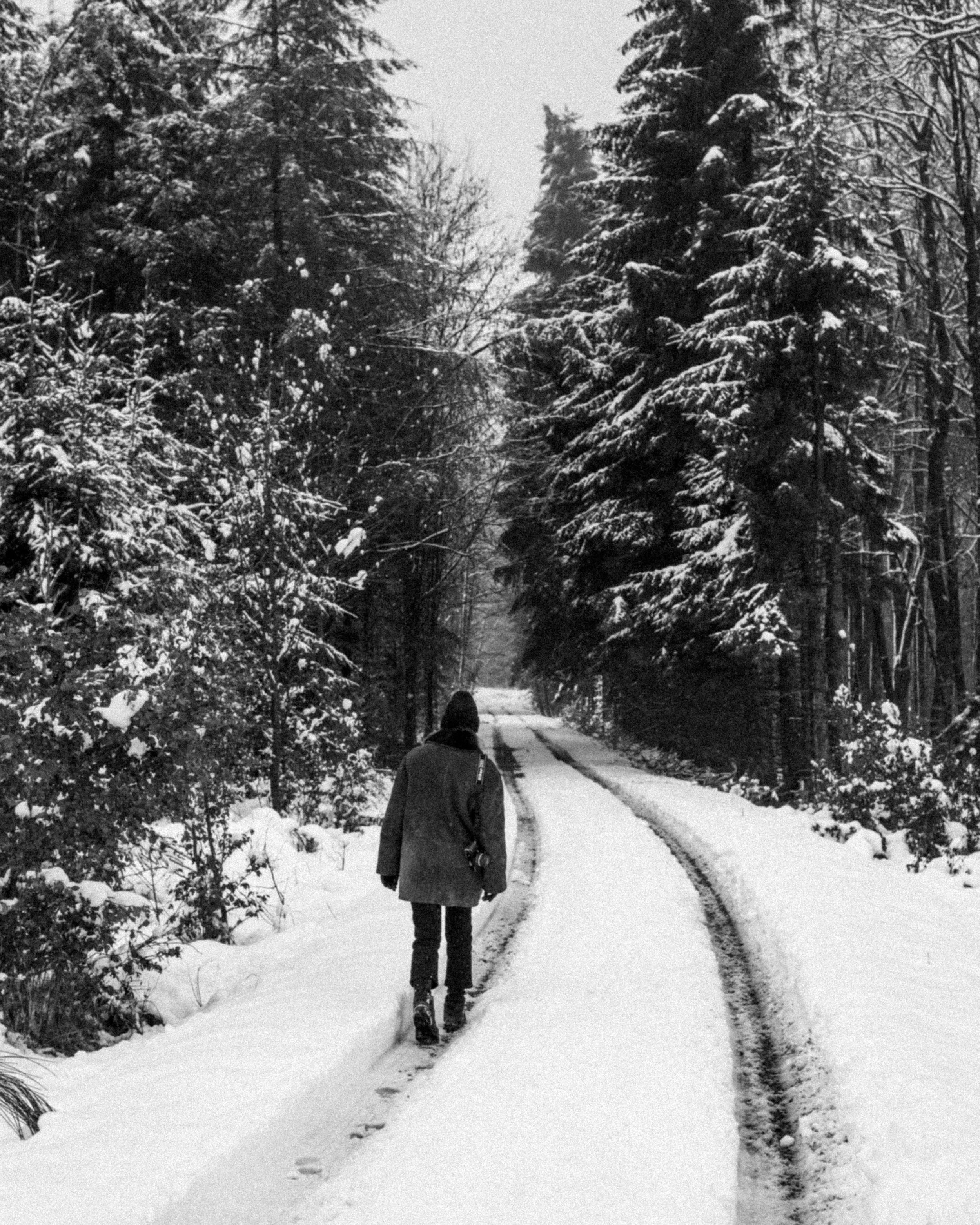_DSC2930bw%28online%29.jpg