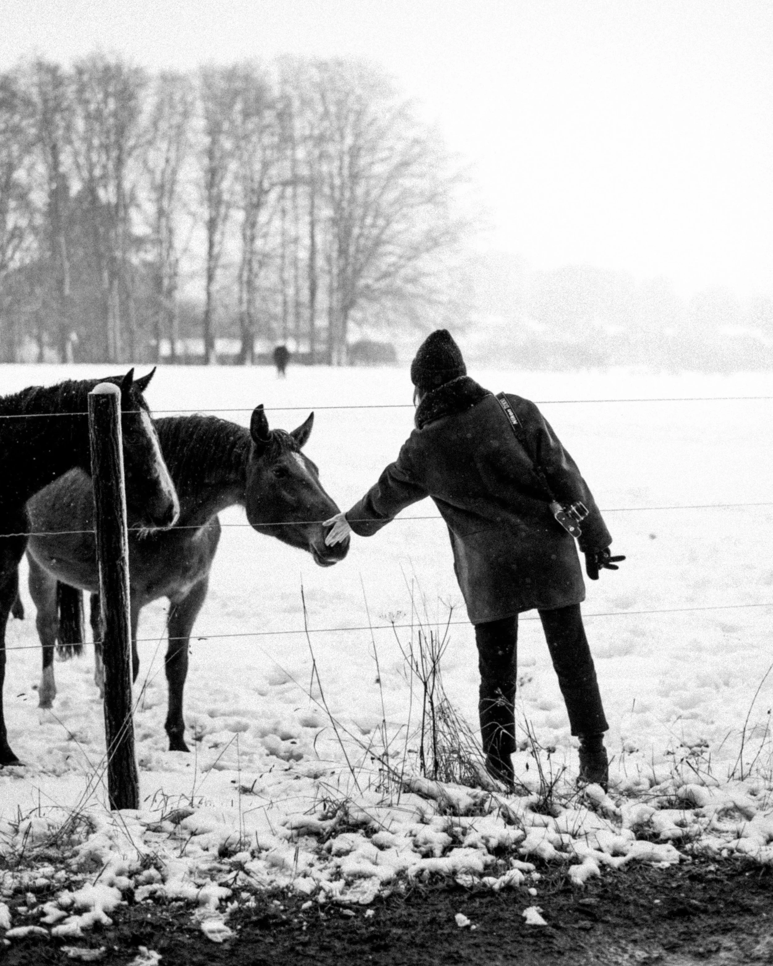 _DSC2915bw%28online%29.jpg