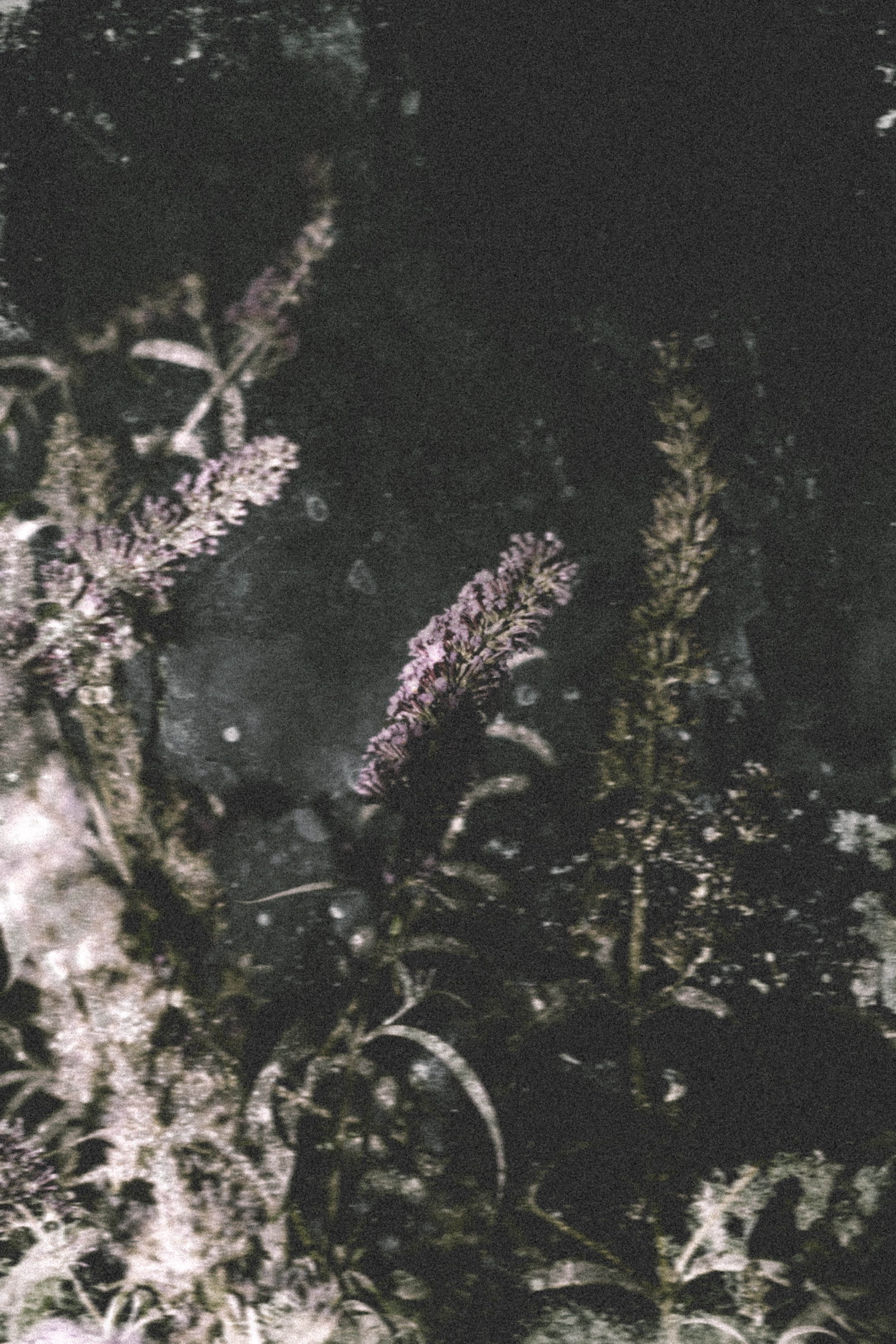 DSCF3587(LD).jpg