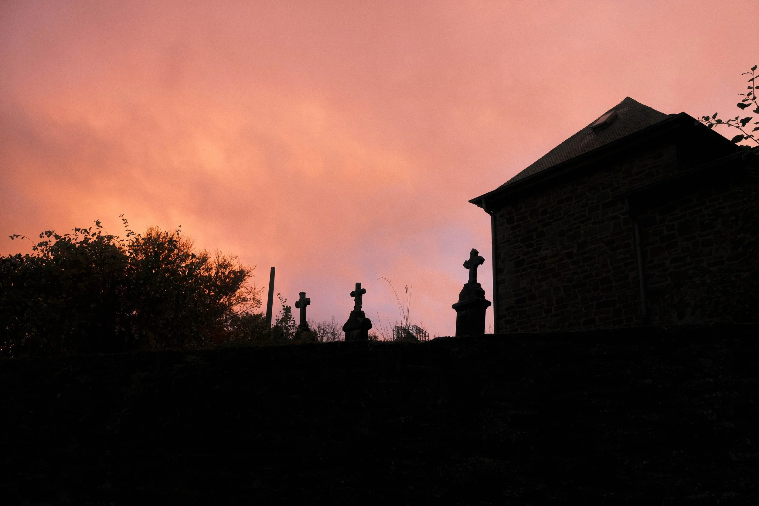 Website-pw-color-173.jpg