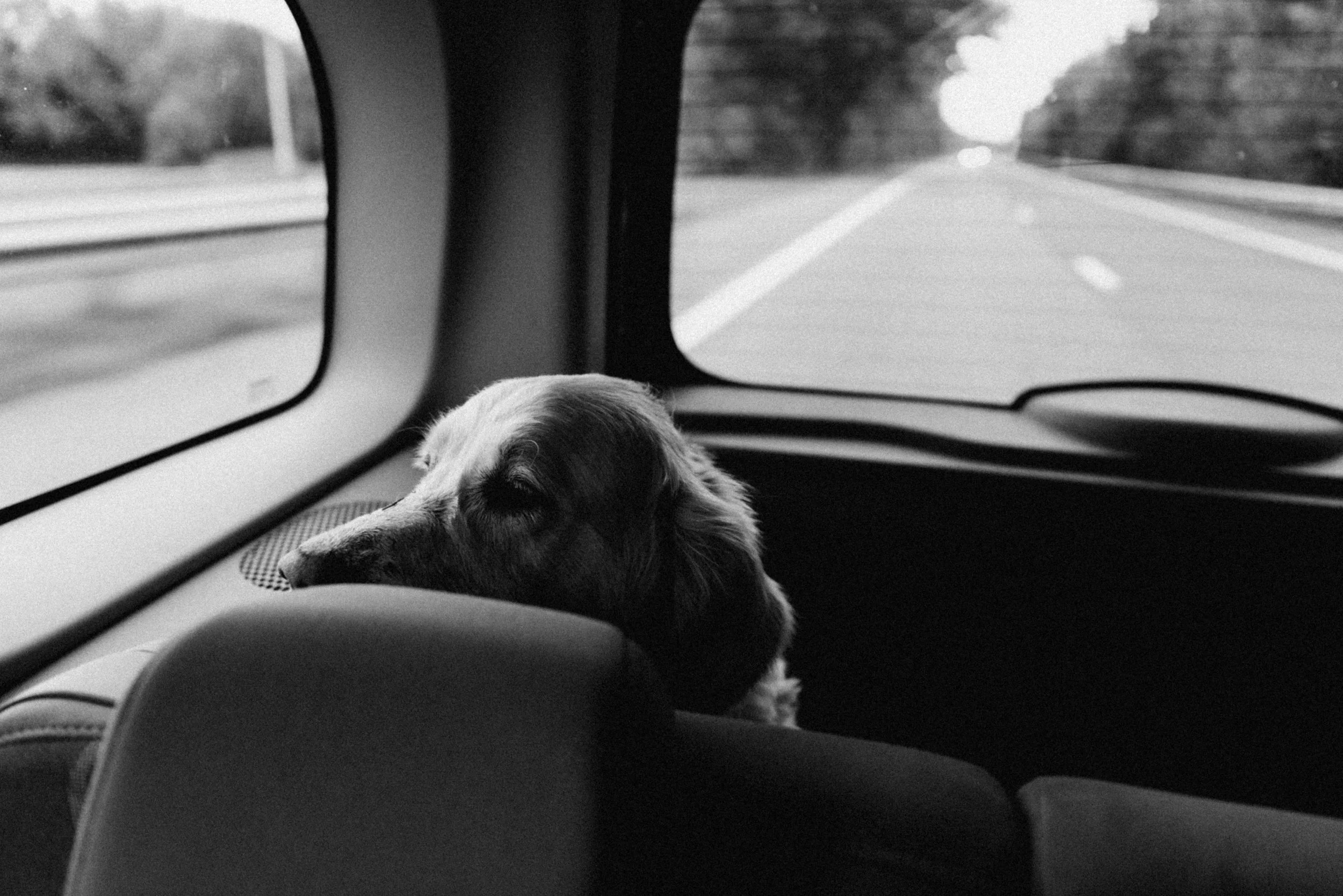 _DSC4599bw(online).jpg