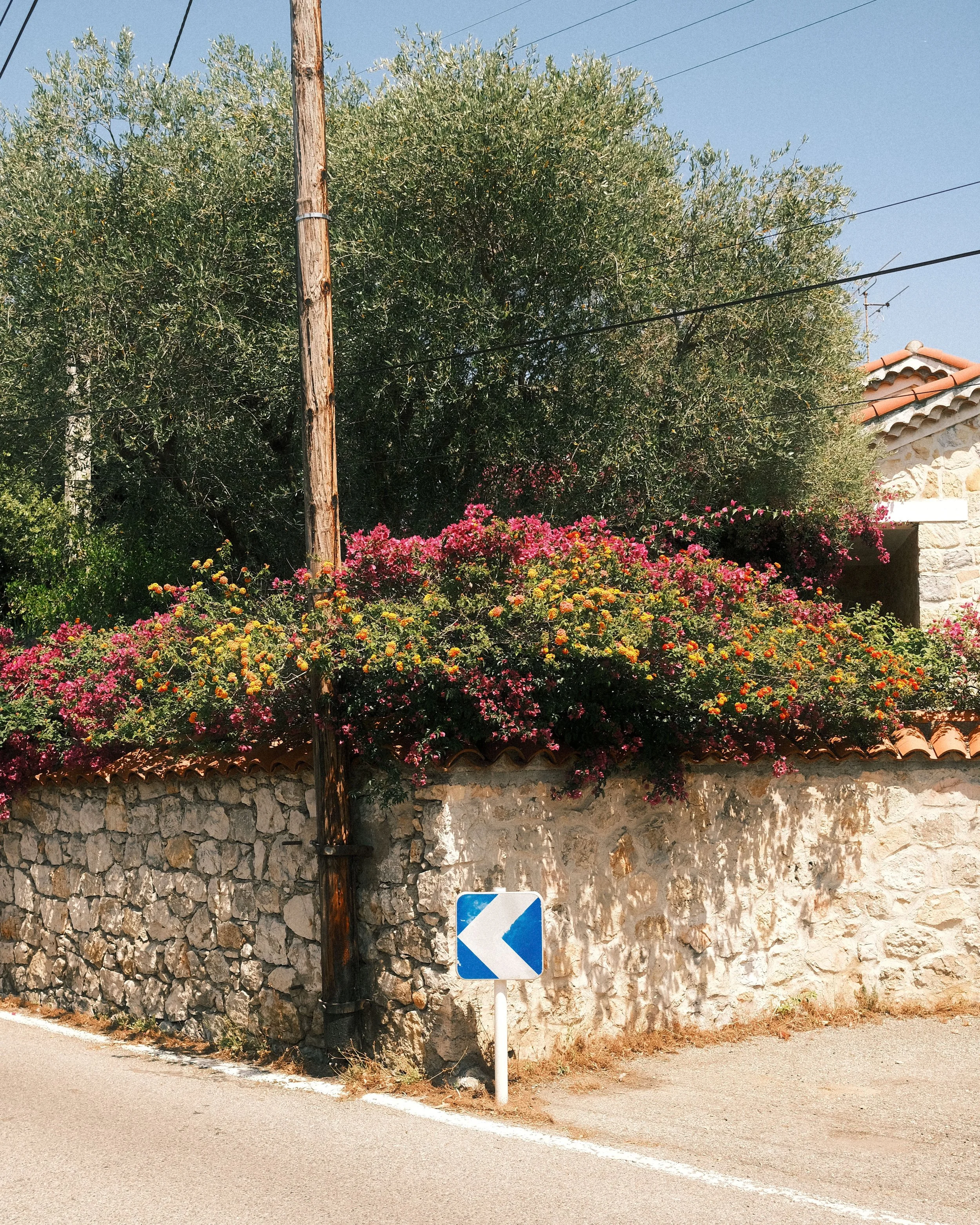Website-pw-color-60.jpg