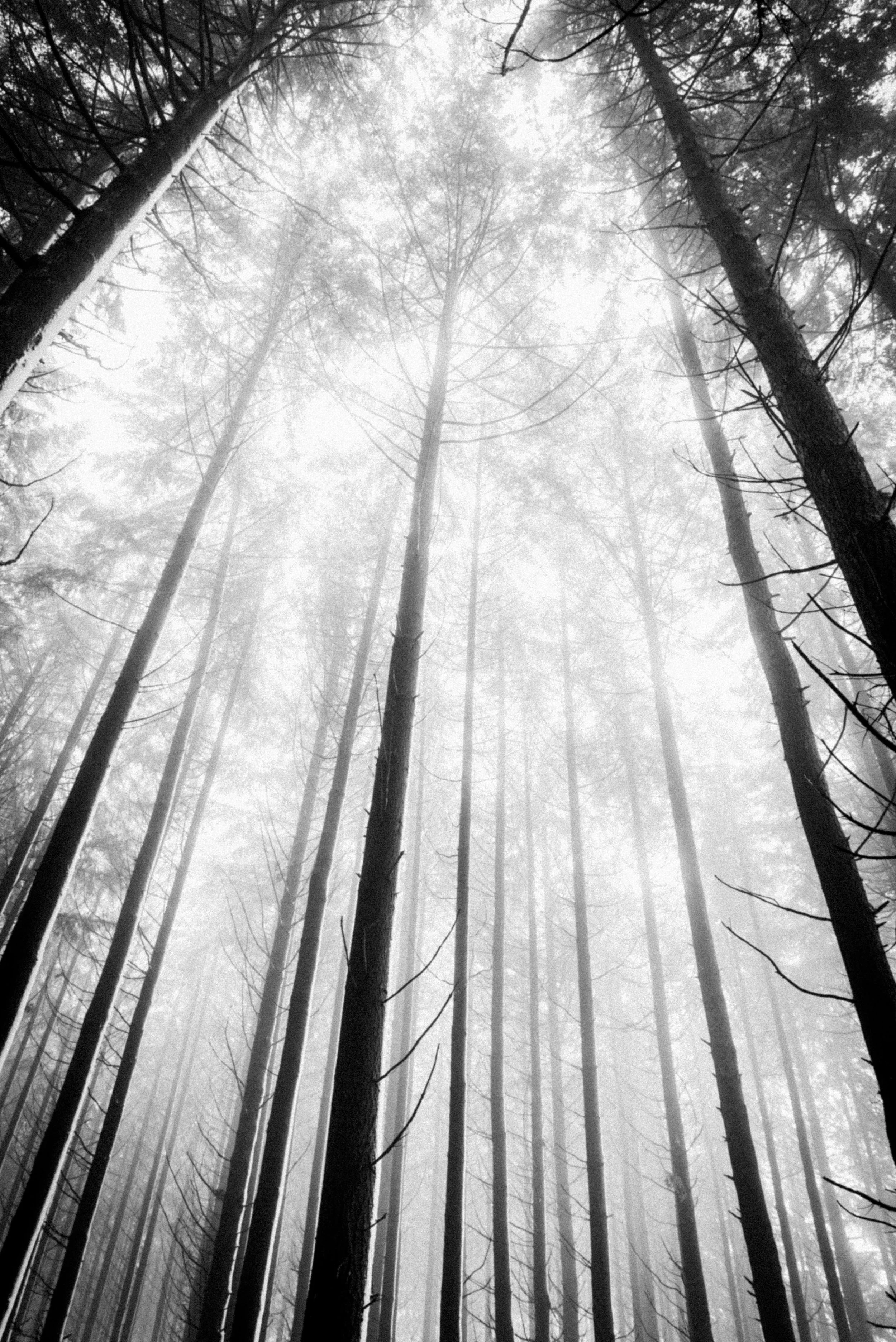 _DSC3027bw(online).jpg
