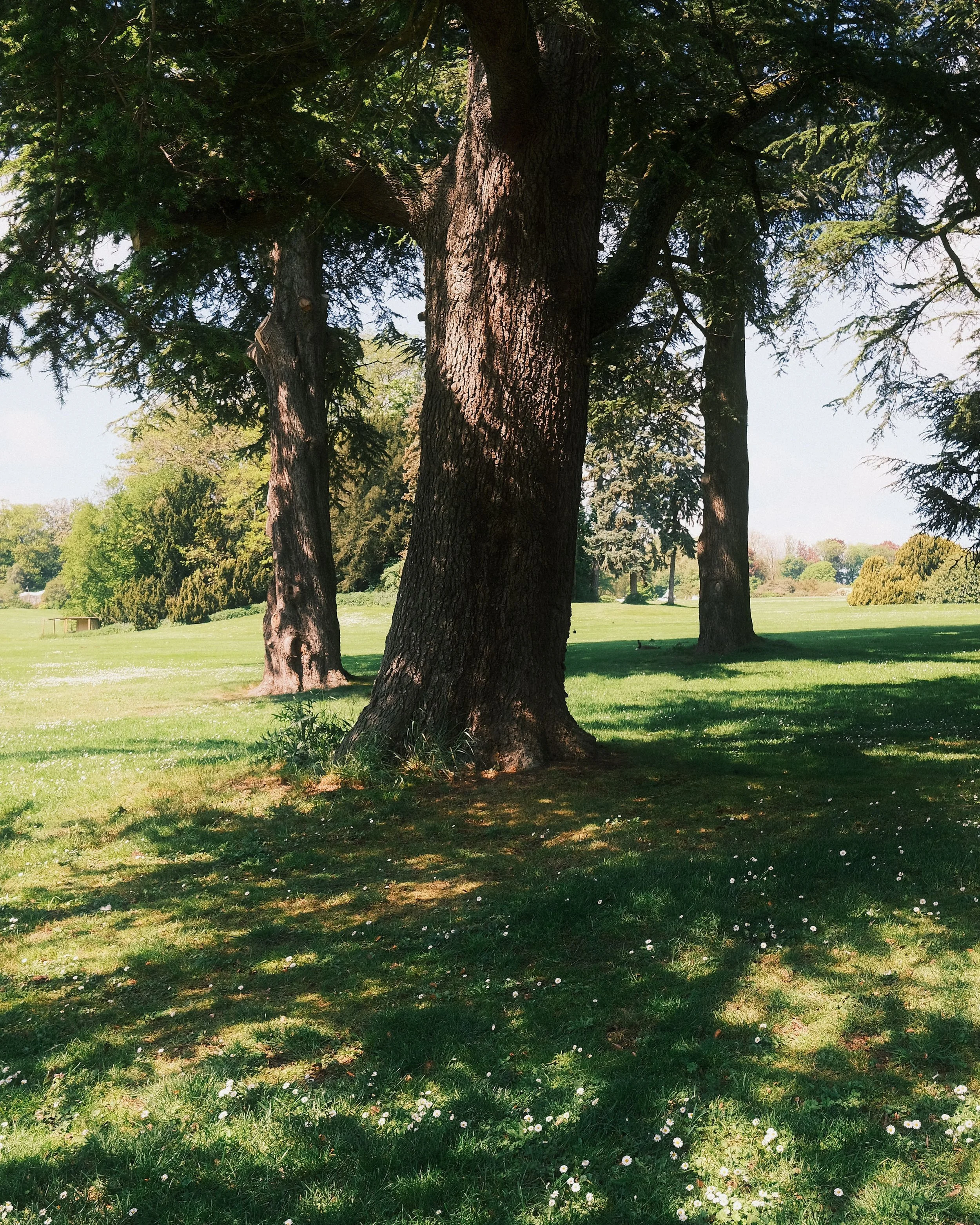 Website-pw-color-124.jpg