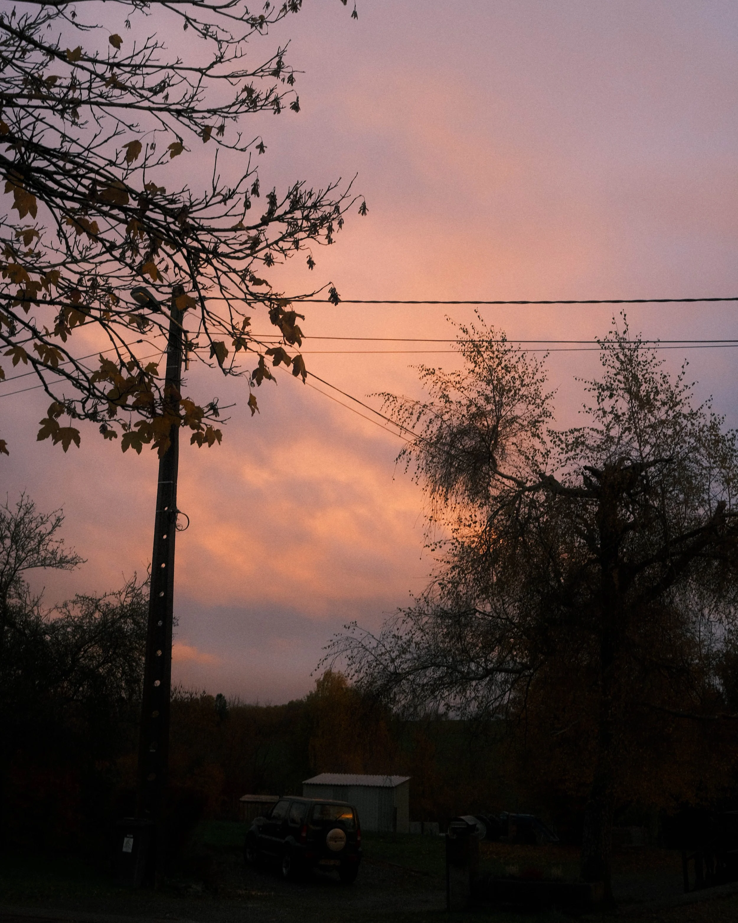 Website-pw-color-172.jpg