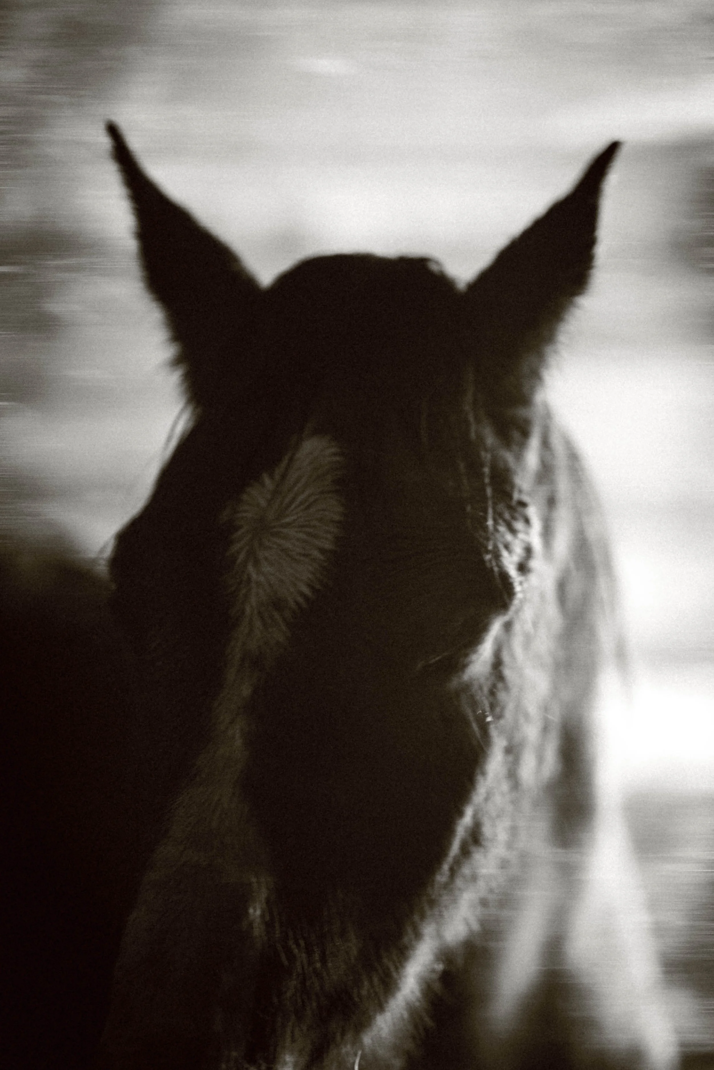 _DSC1880(LD-grain).jpg