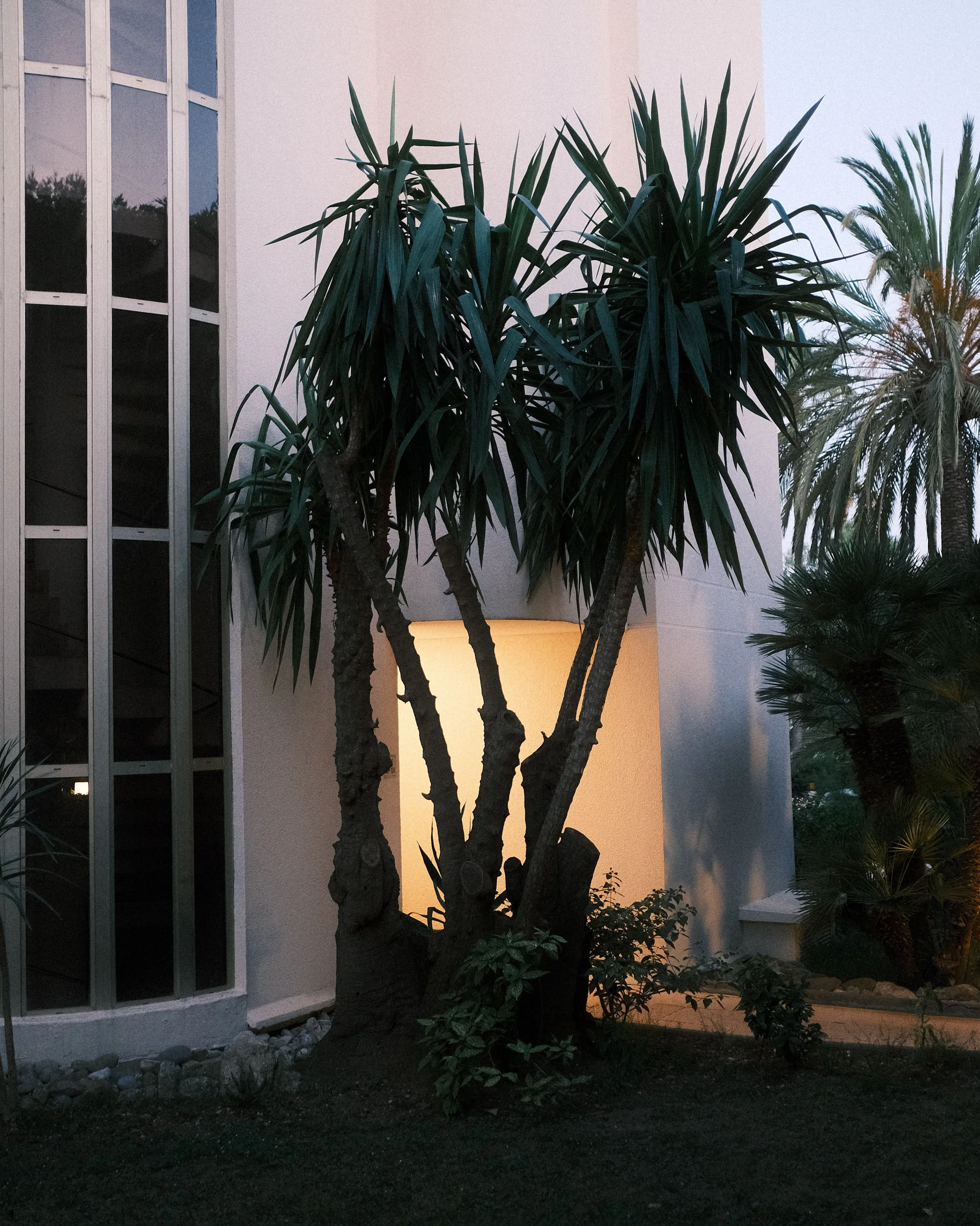 Website-pw-color-35.jpg