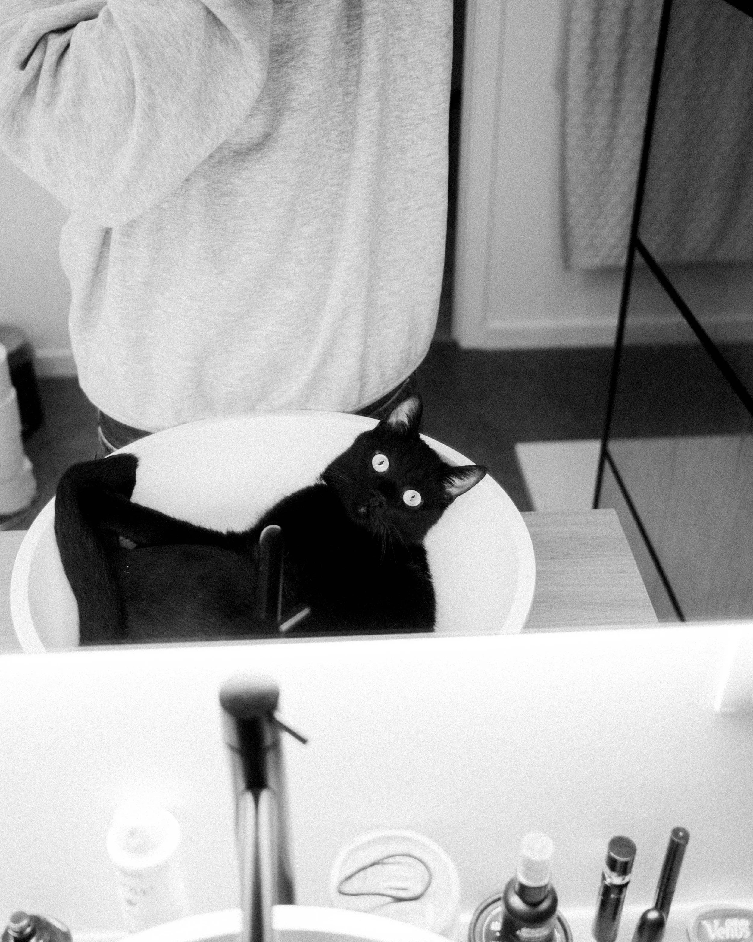 Website-pw-mono.jpg