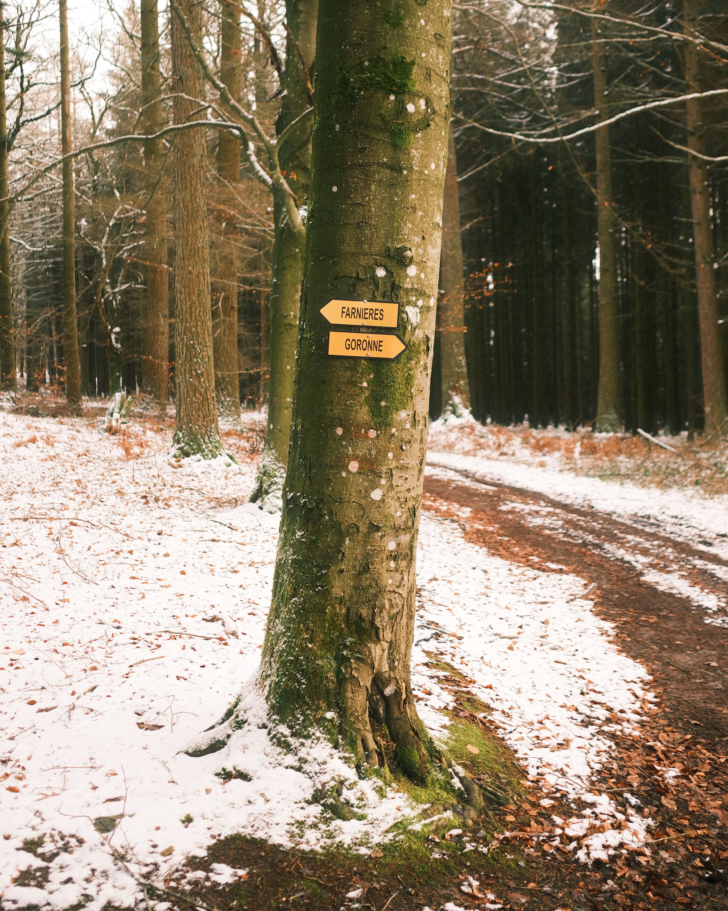 Website-pw-color-77.jpg
