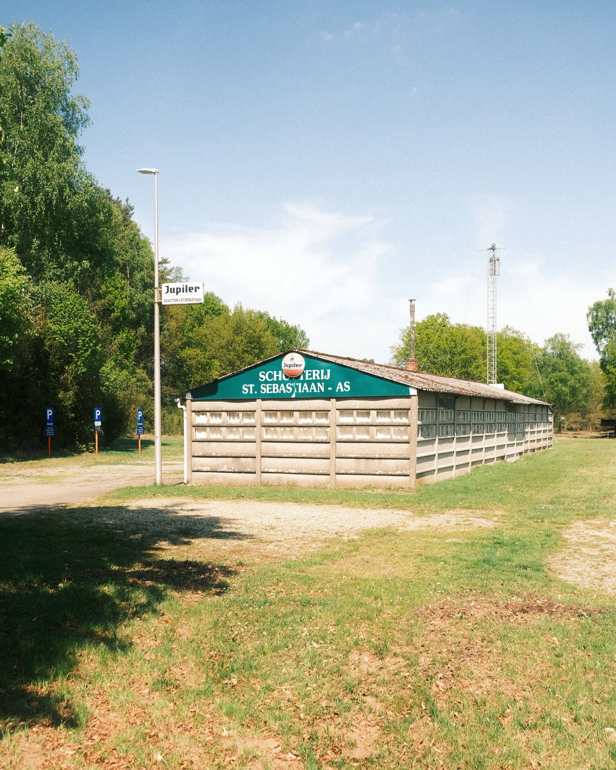 Website-pw-color-5.jpg