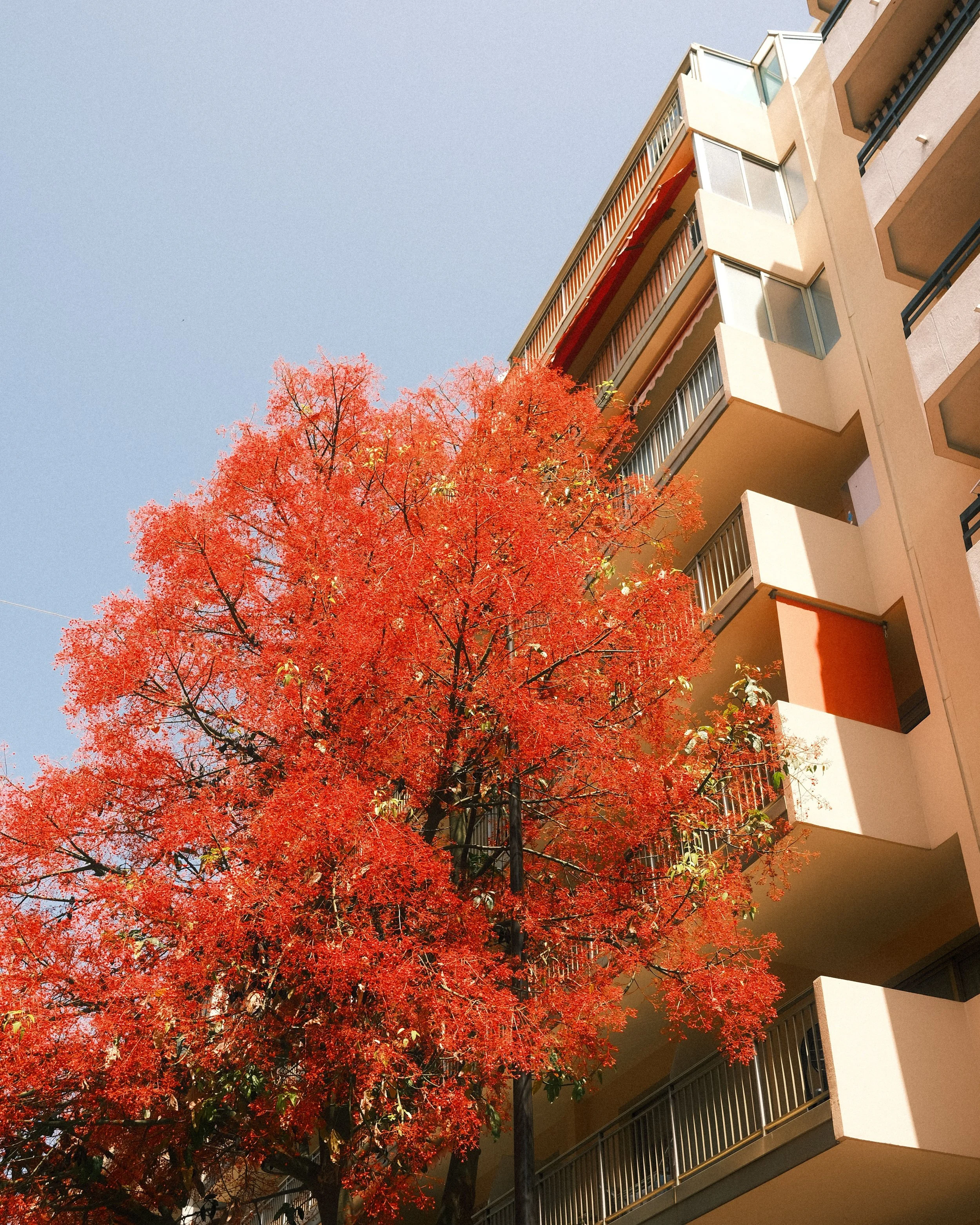 Website-pw-color-63.jpg