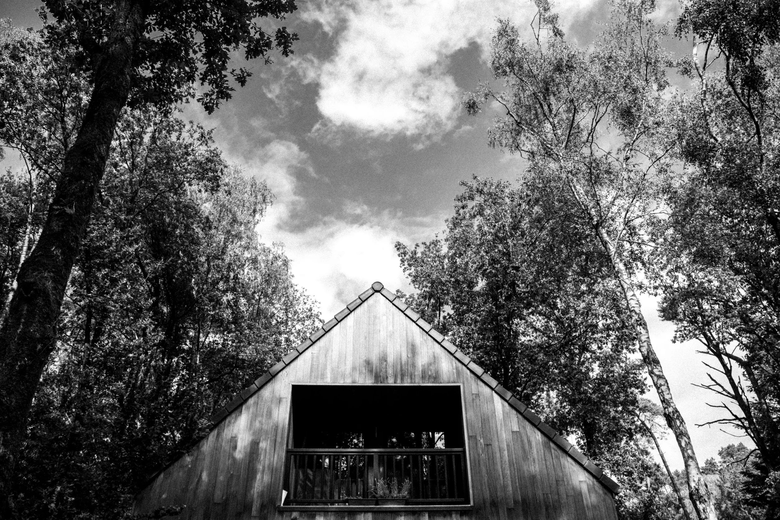 _DSC4431bw(online).jpg